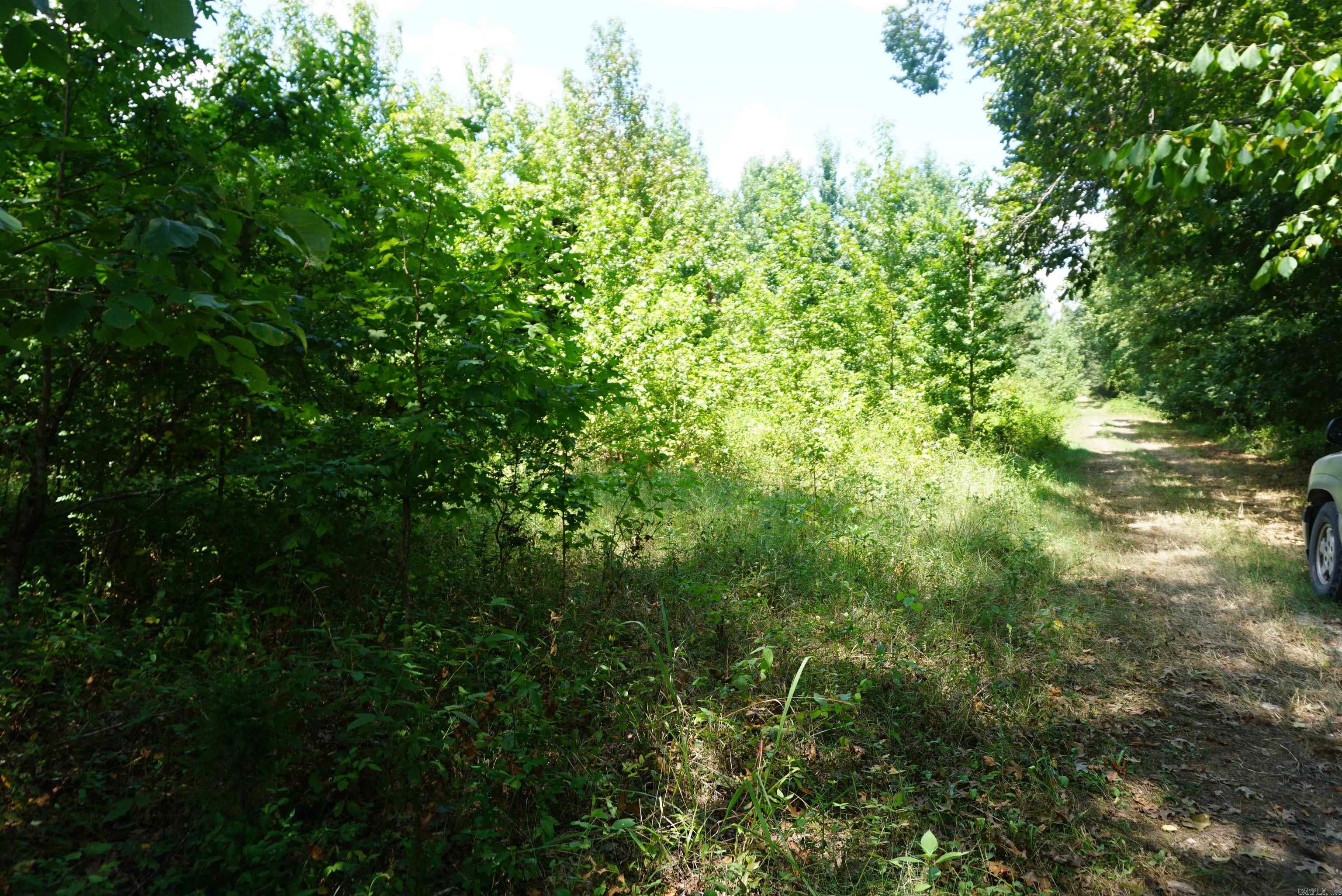 000 Stokes Rd  Bald Knob, AR