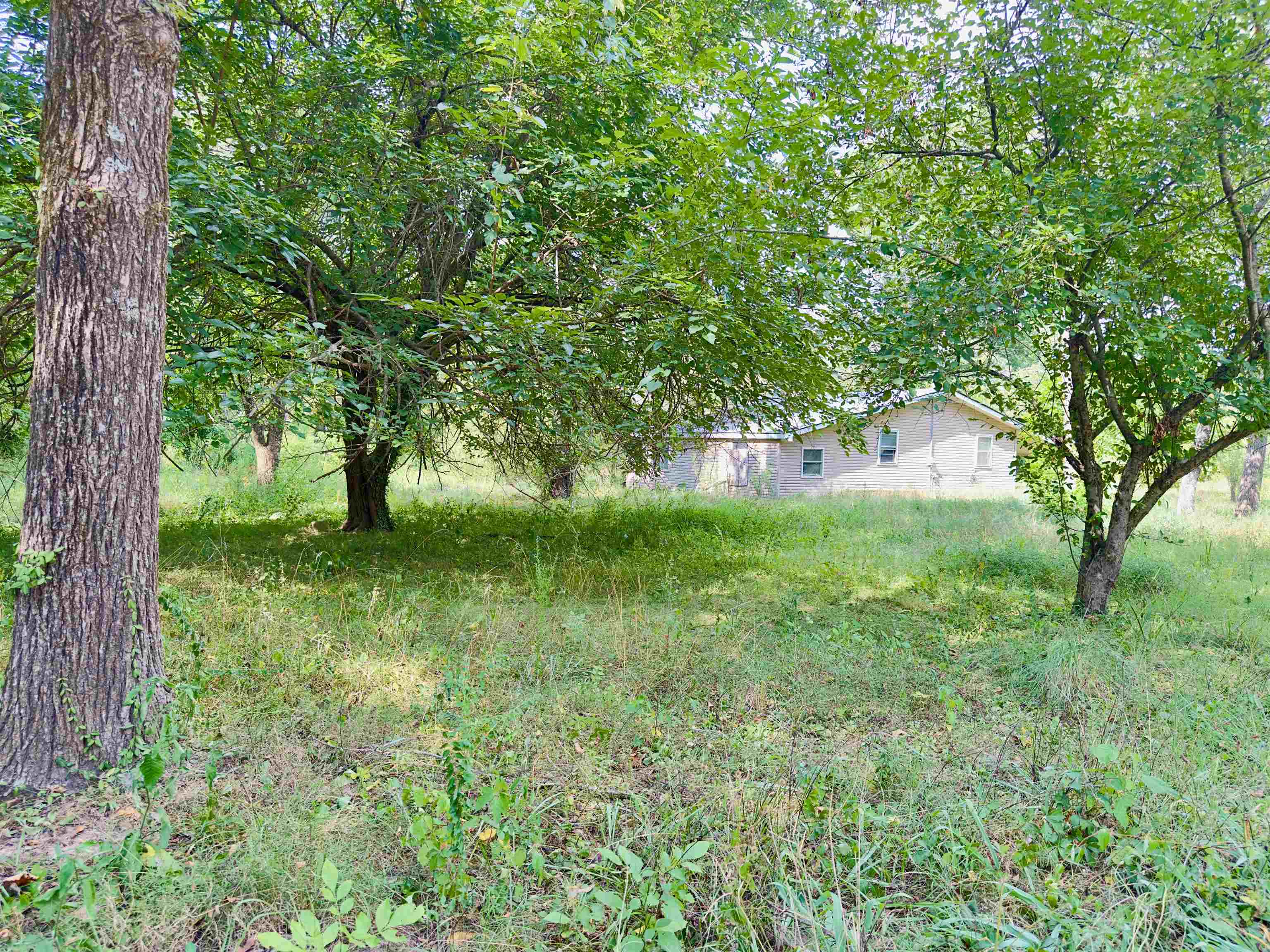 84 James  Hardy, AR