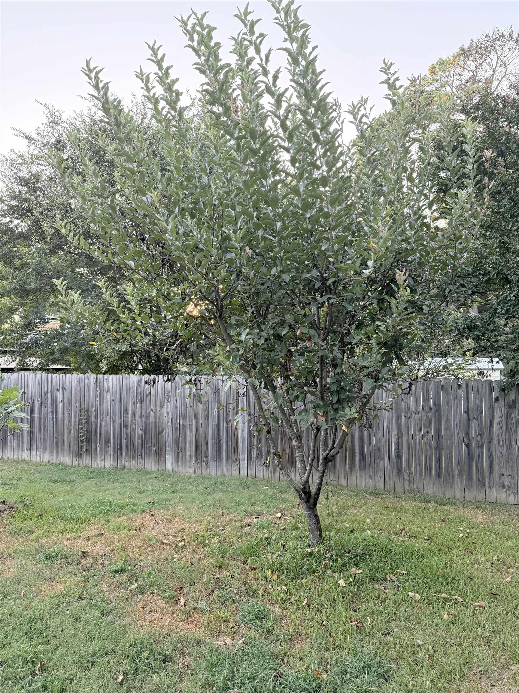 1220 Crystal  Benton, AR