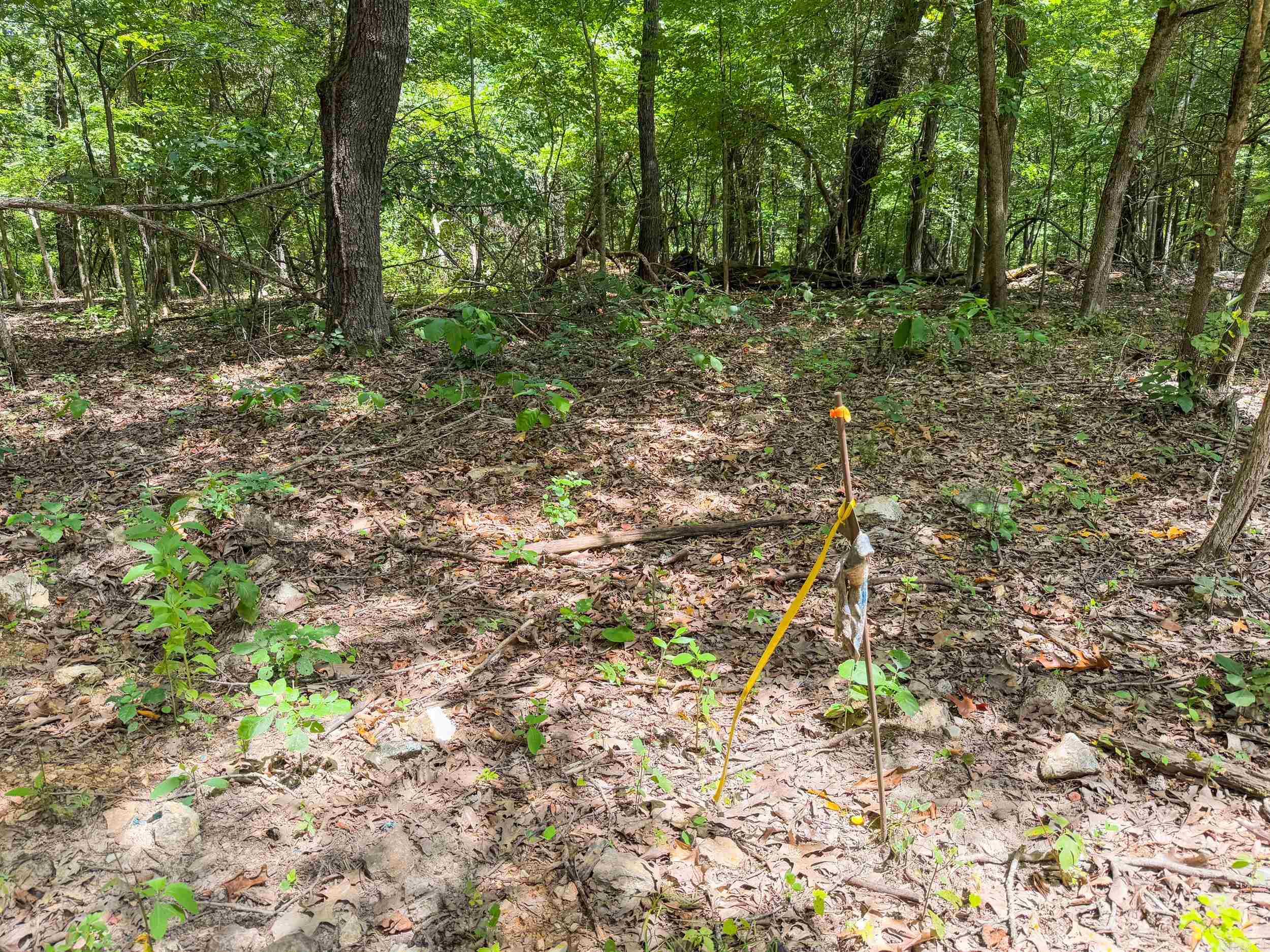 328 & 361 Rim Shoals  Mountain Home, AR