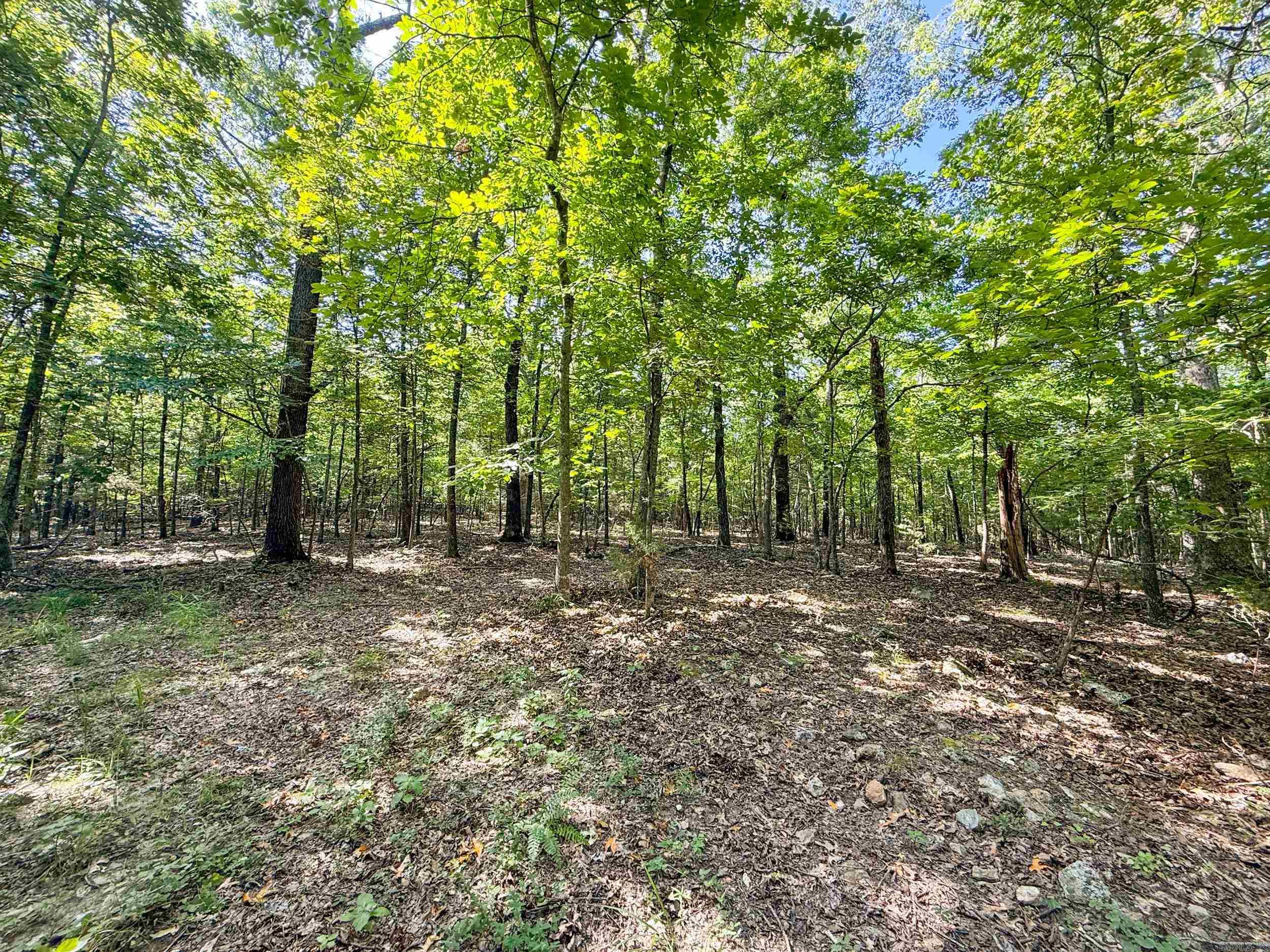 328 & 361 Rim Shoals  Mountain Home, AR