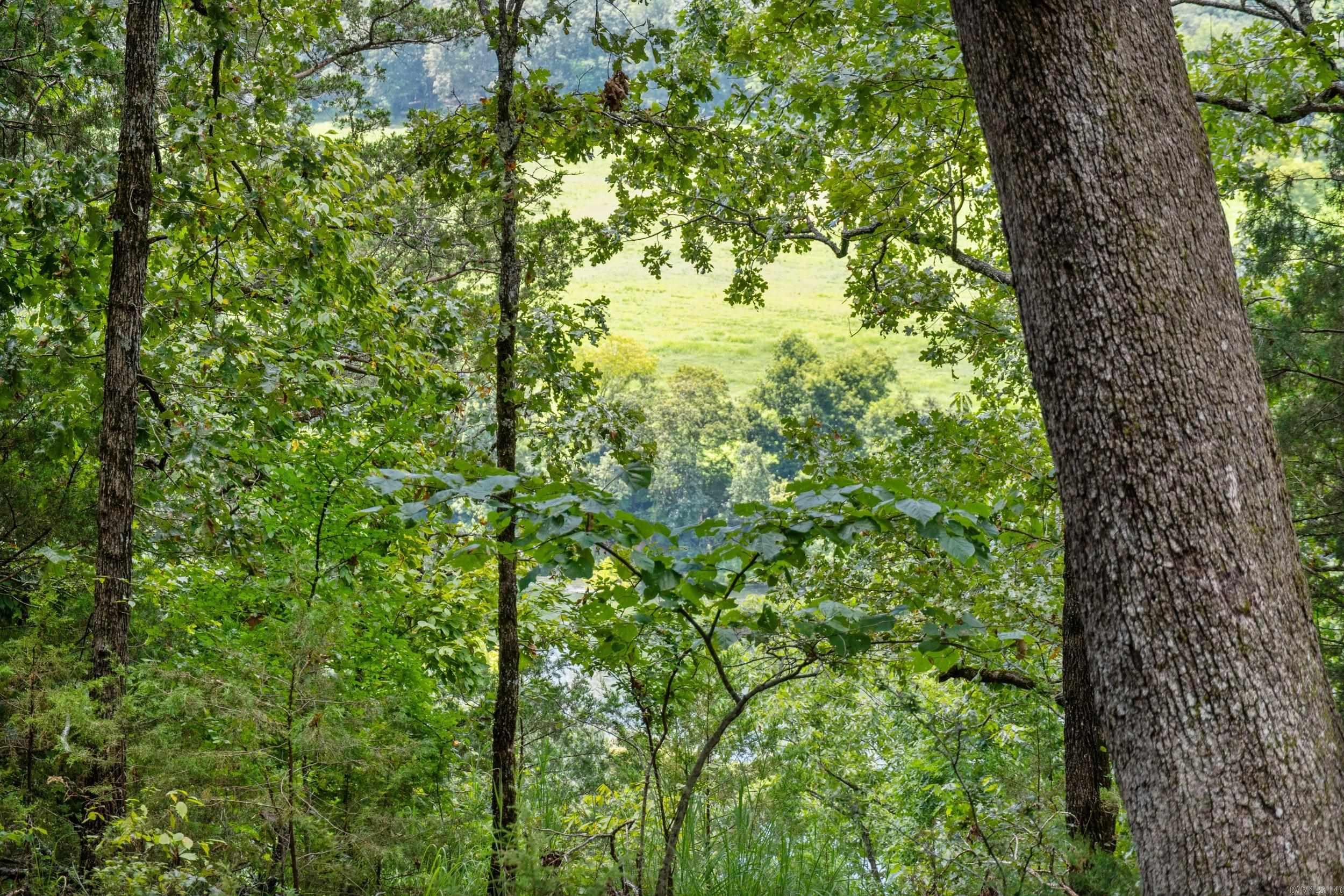 328 & 361 Rim Shoals  Mountain Home, AR