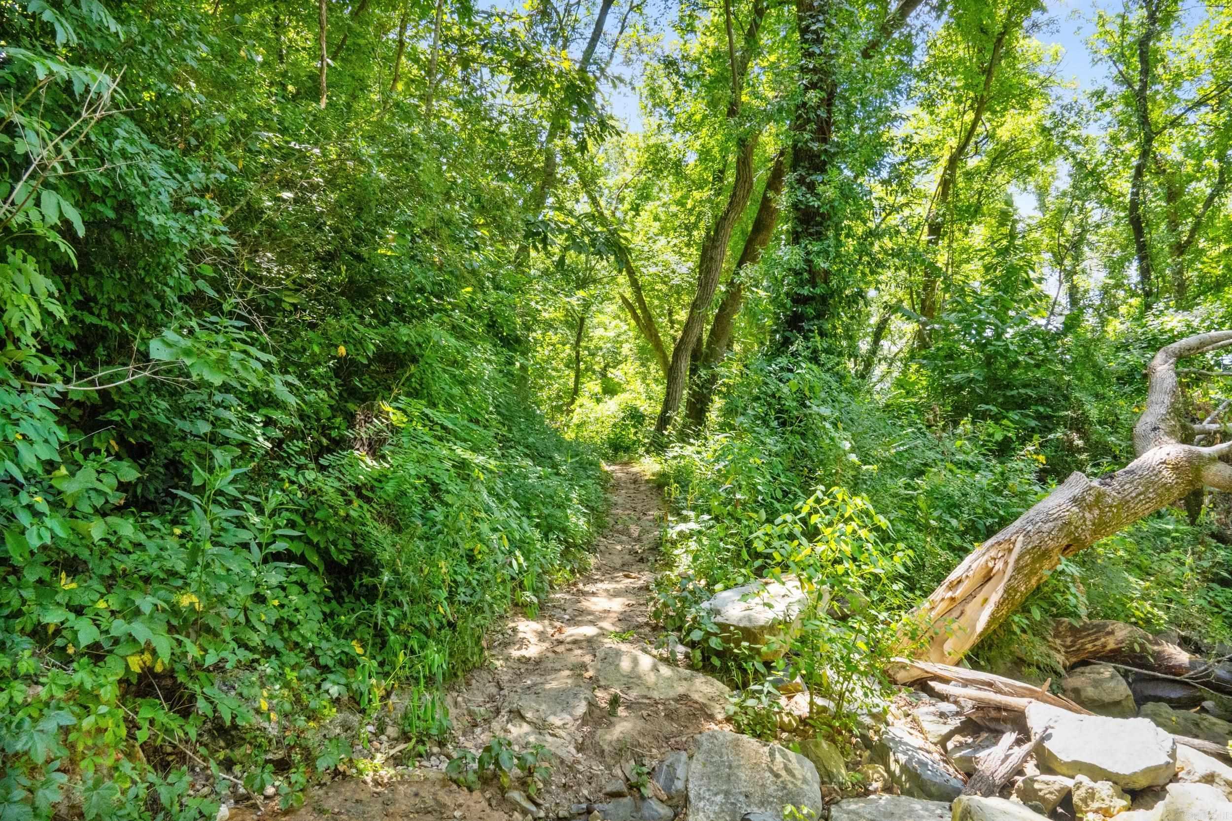 328 & 361 Rim Shoals  Mountain Home, AR