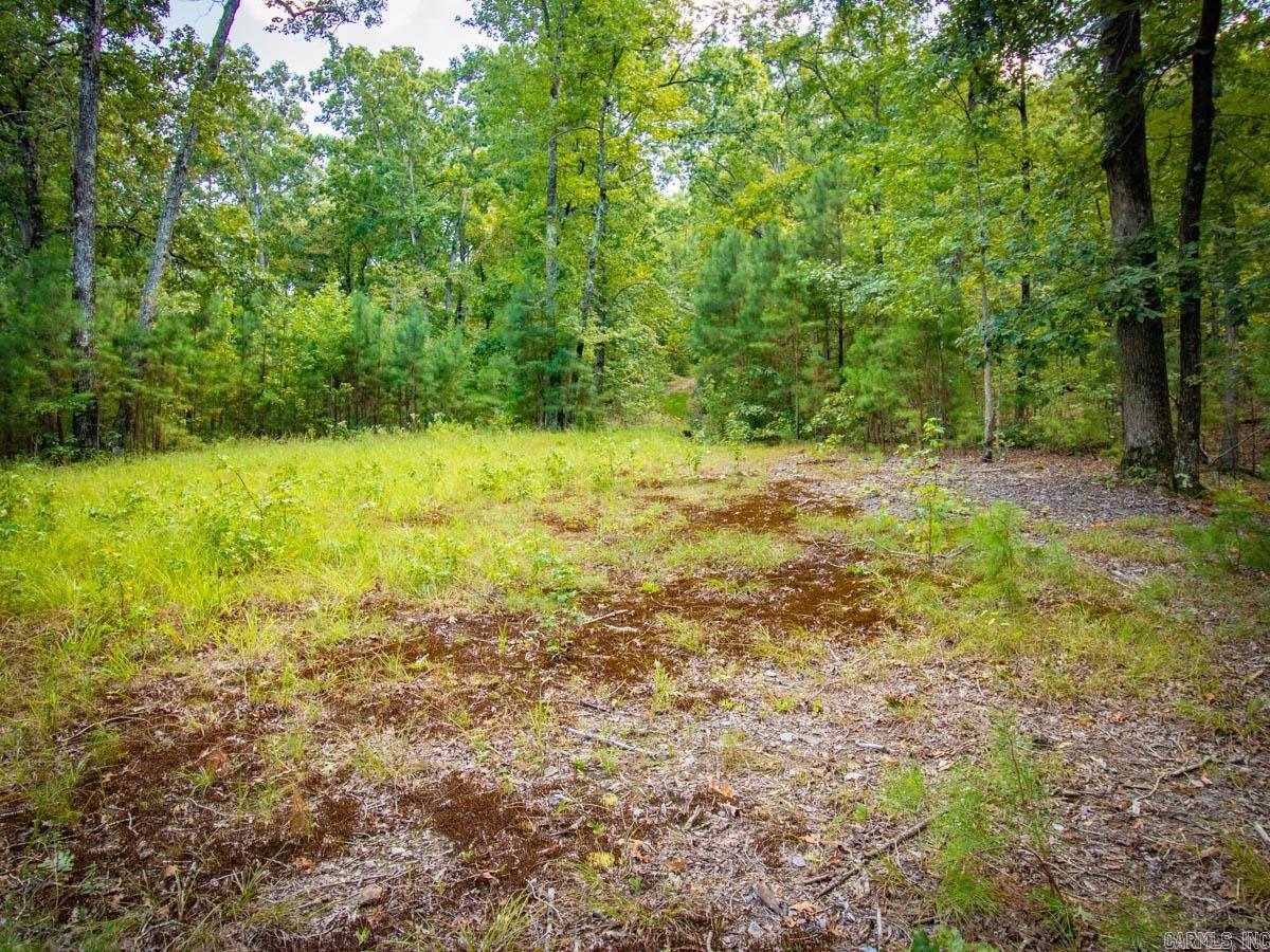 0 Waldenwood  Little Rock, AR