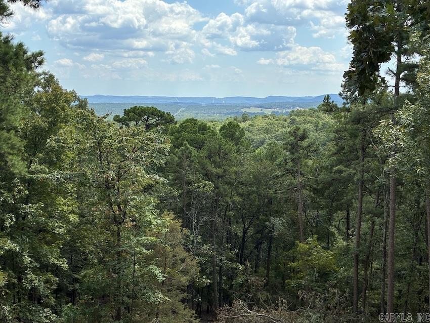 45 Almazon Way Hot Springs Village, AR 71909