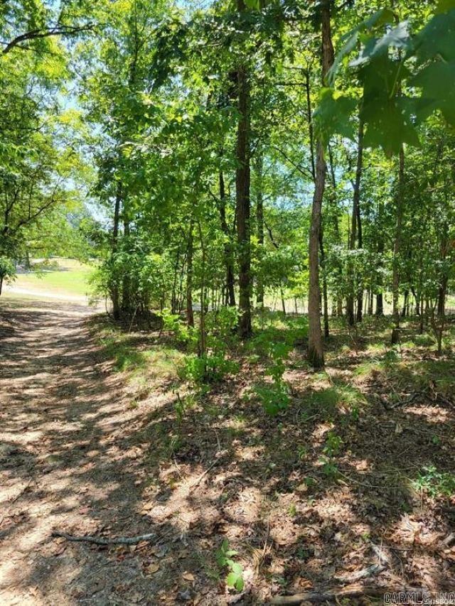 694 Pineapple  Hot Springs, AR