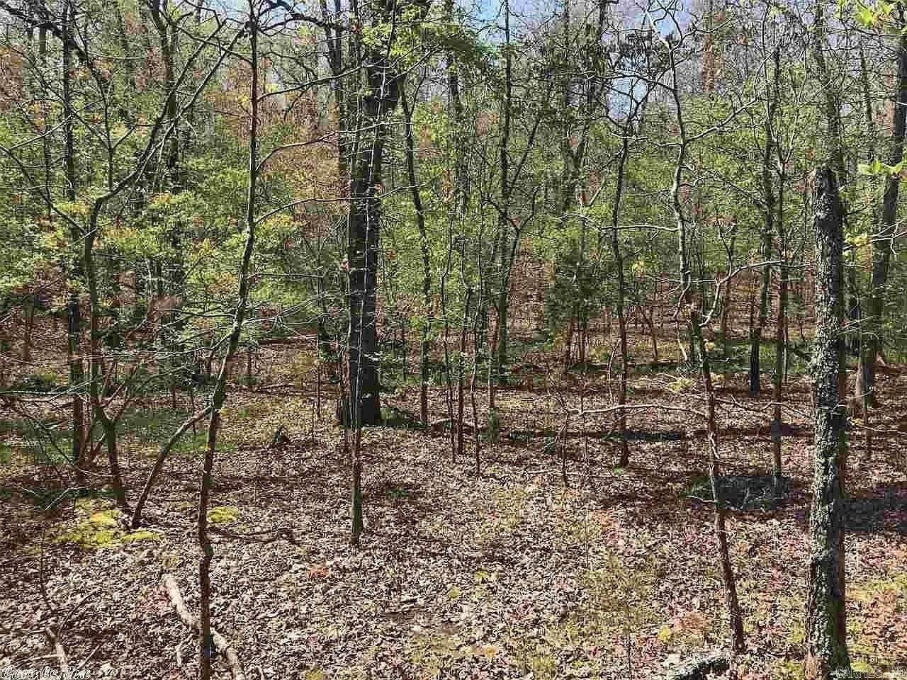 32-34 Red Oak Trail  Hardy, AR