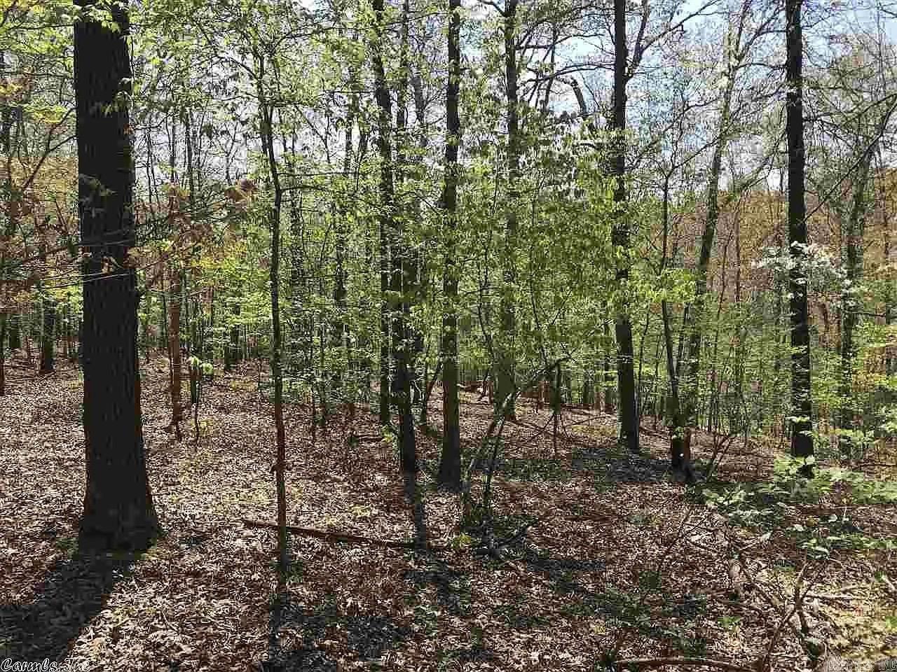 32-34 Red Oak Trail  Hardy, AR