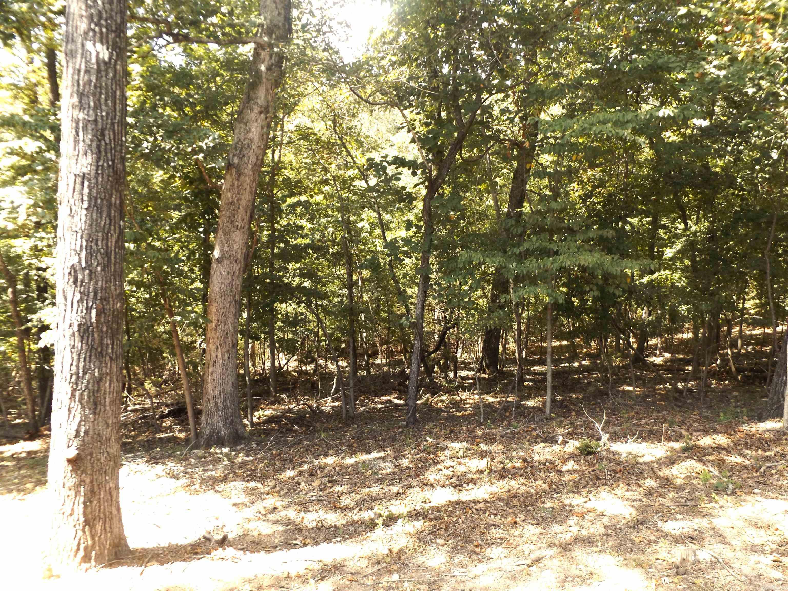 107 Lancelot Lane  Bull Shoals, AR