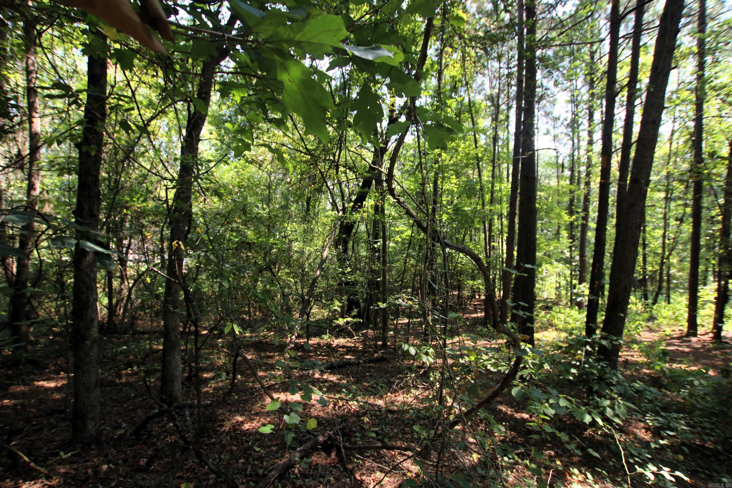 000 Sorrell  Benton, AR