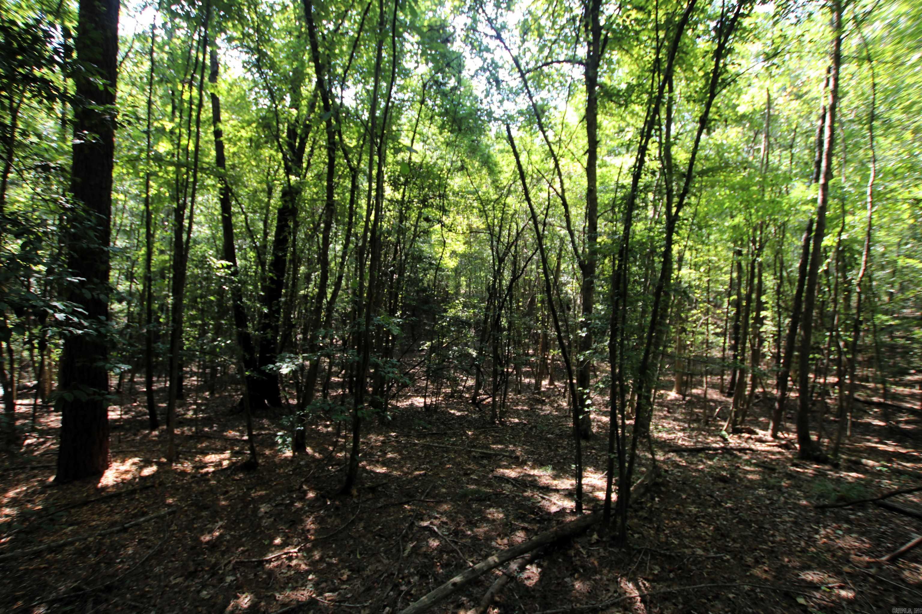 000 Sorrell  Benton, AR