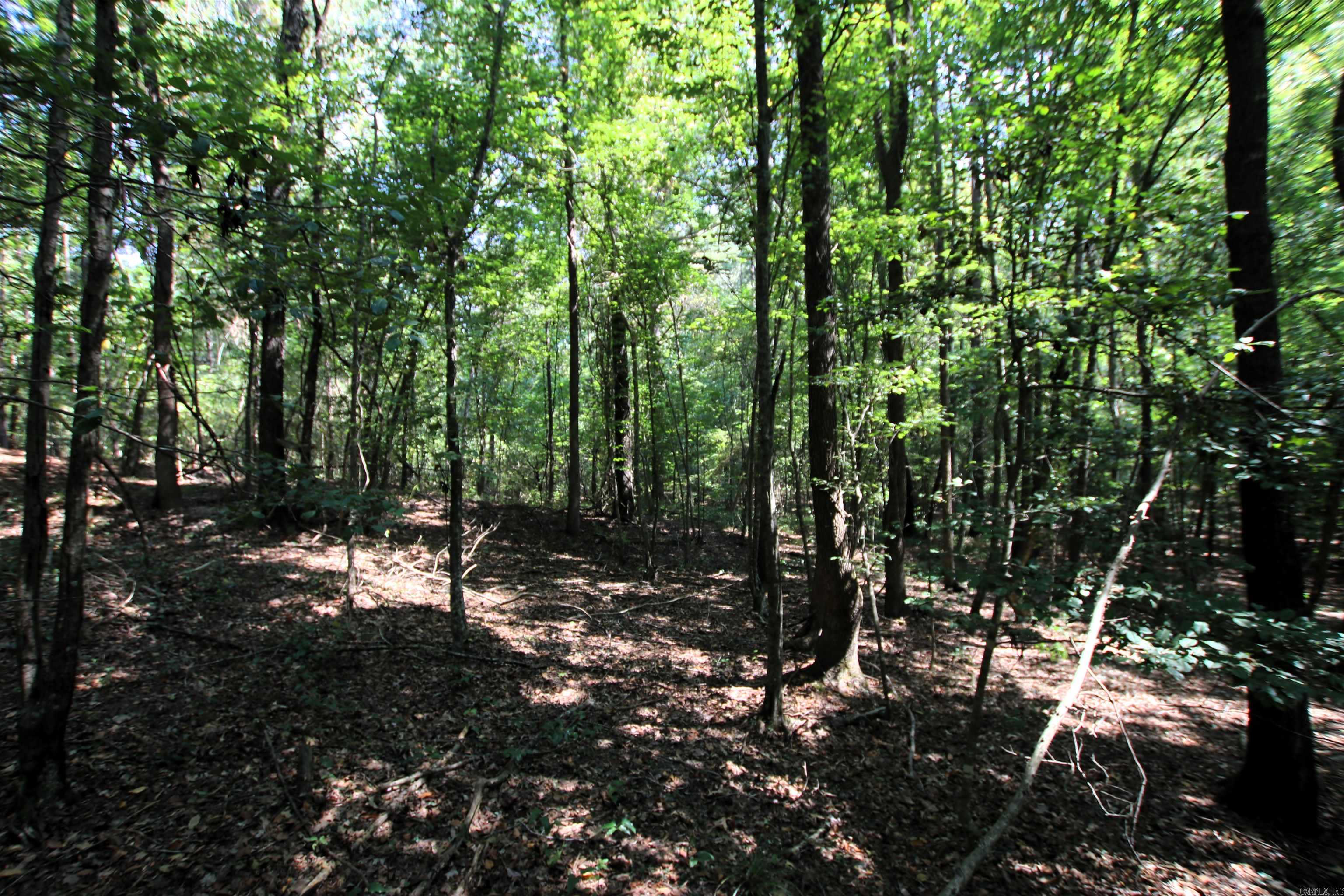 000 Sorrell  Benton, AR