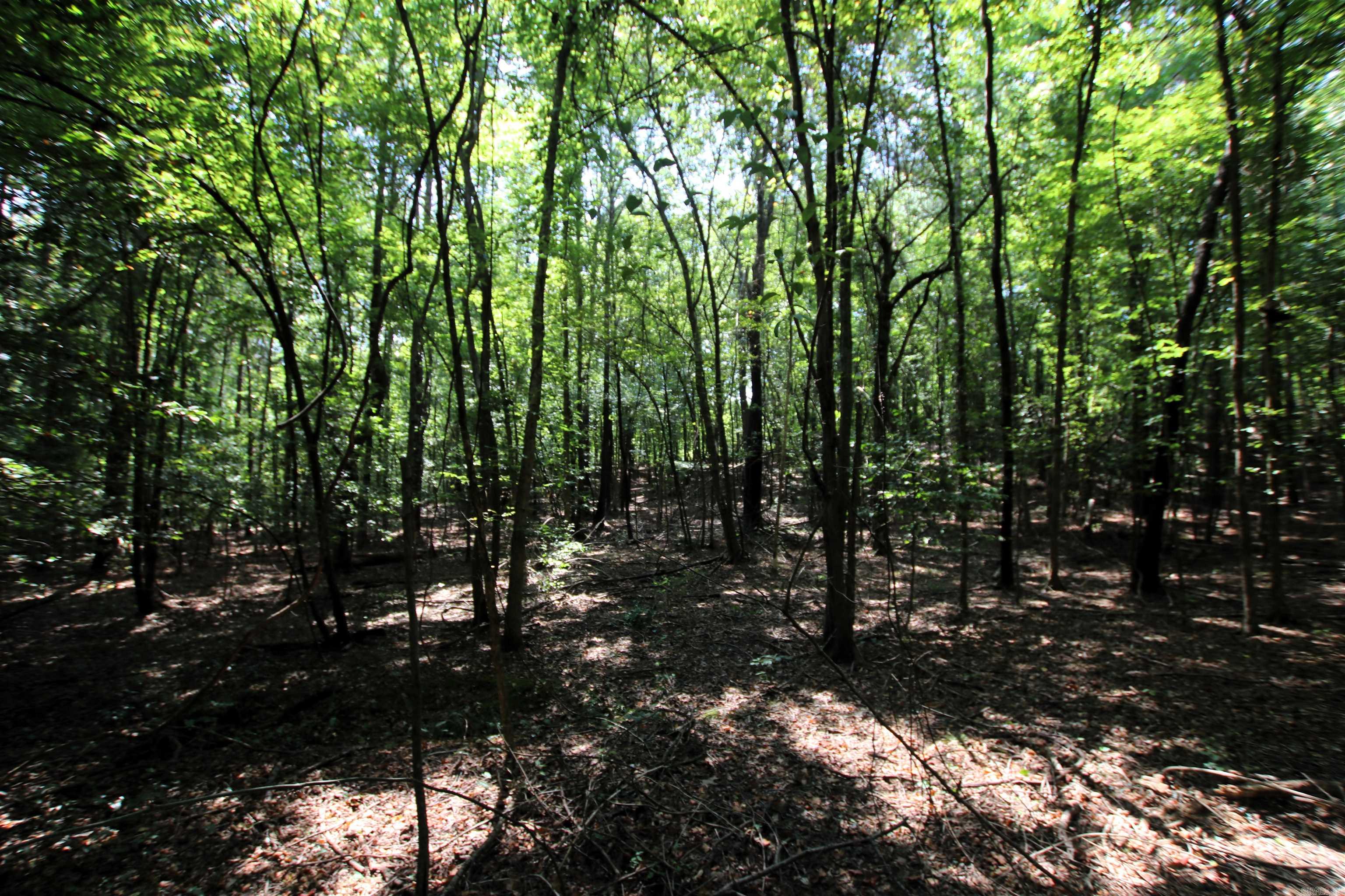 000 Sorrell  Benton, AR
