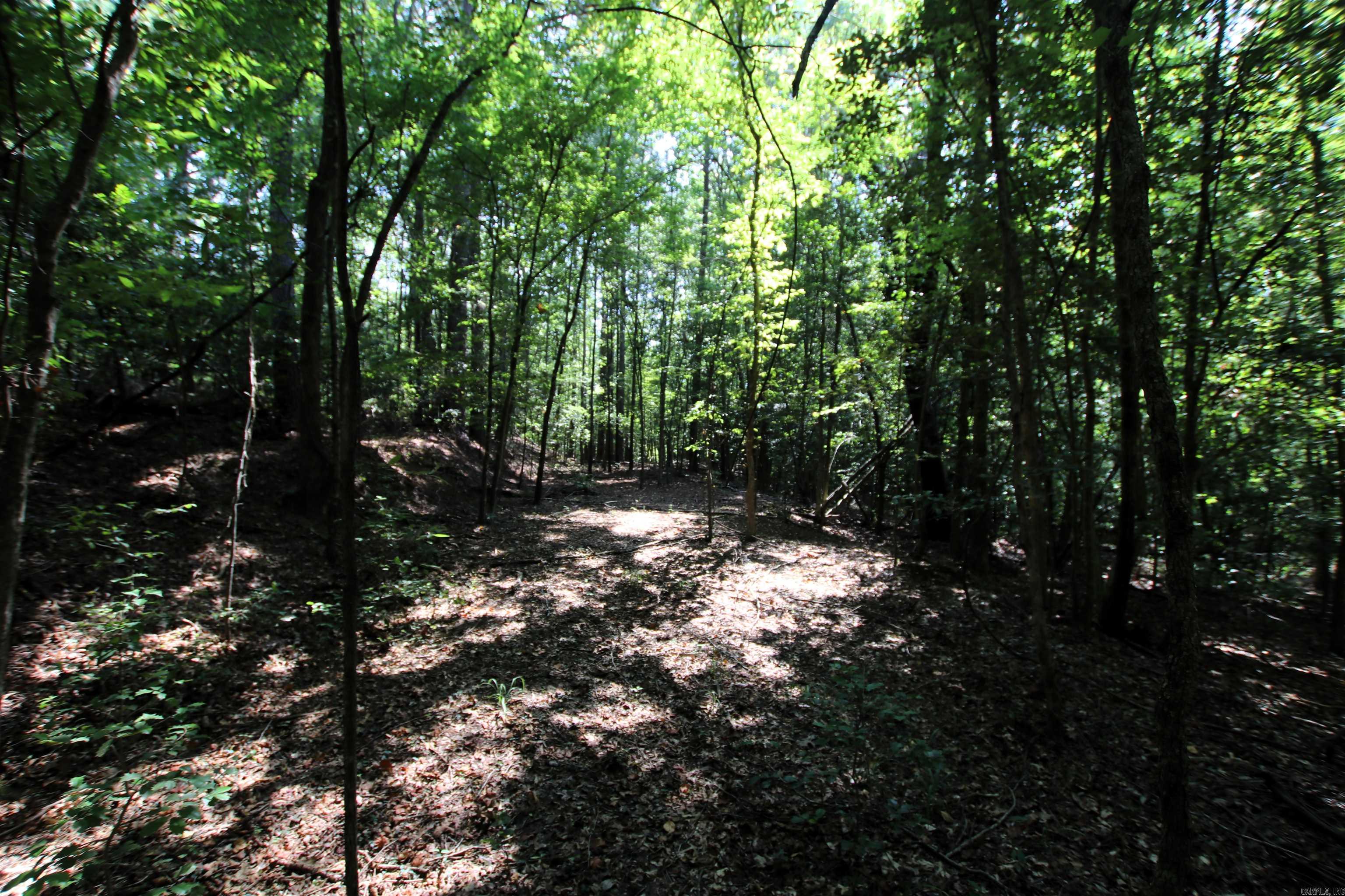 000 Sorrell  Benton, AR