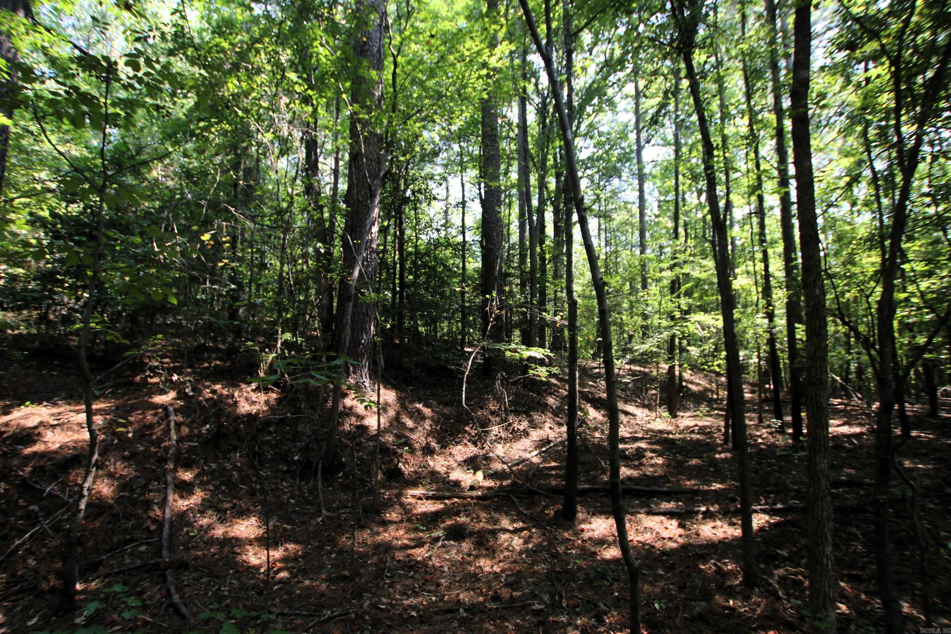 000 Sorrell  Benton, AR