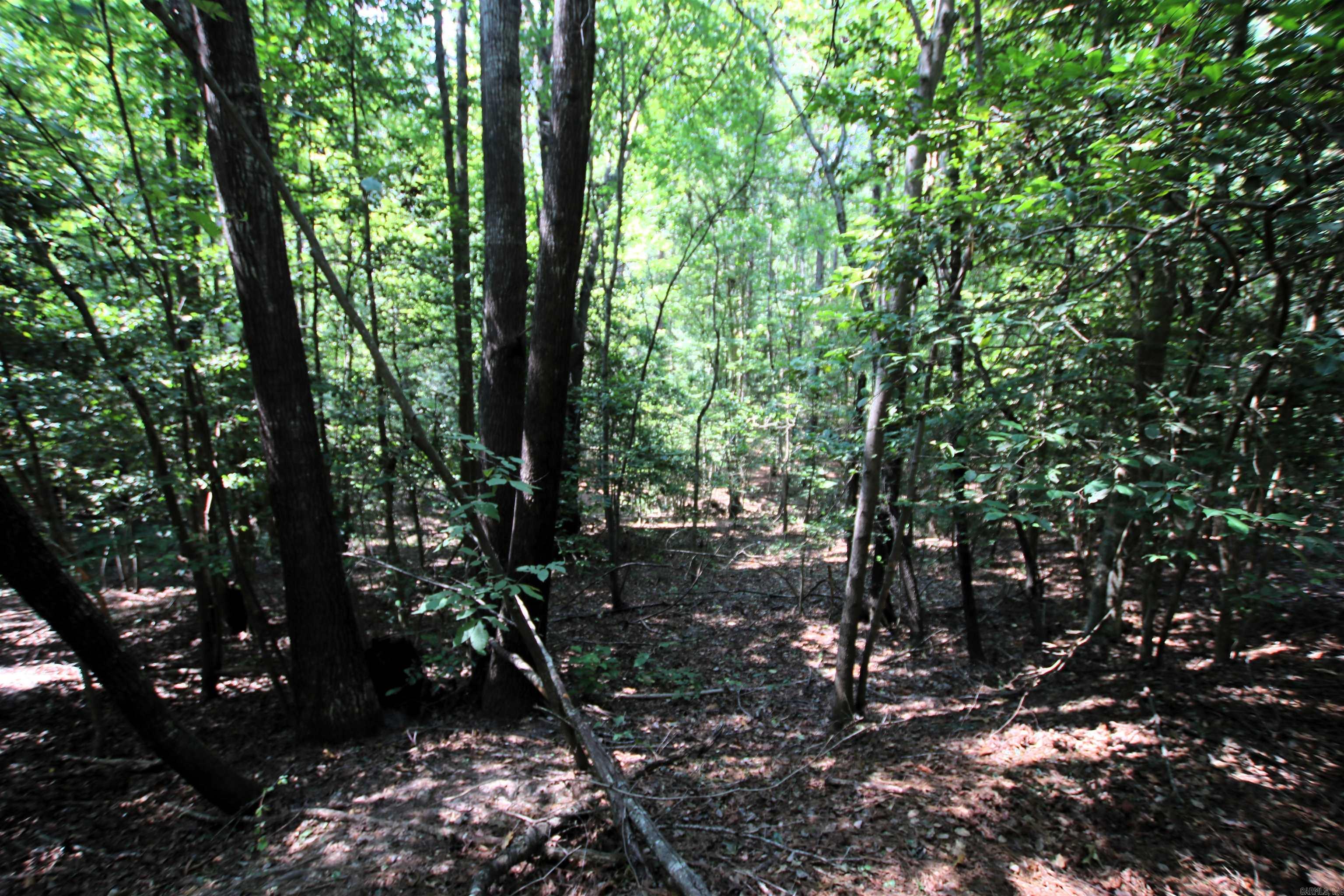 000 Sorrell  Benton, AR