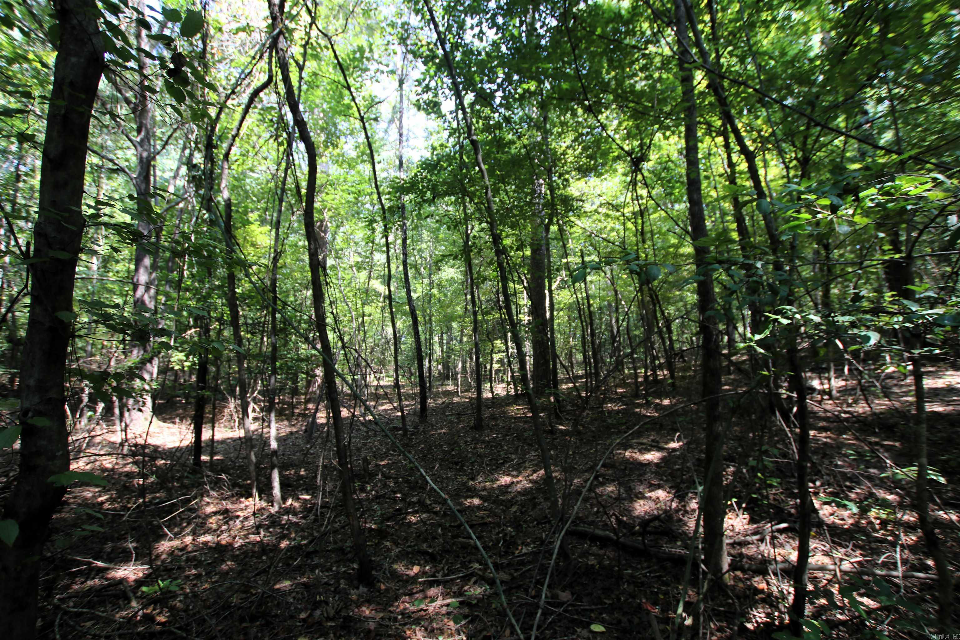 000 Sorrell  Benton, AR