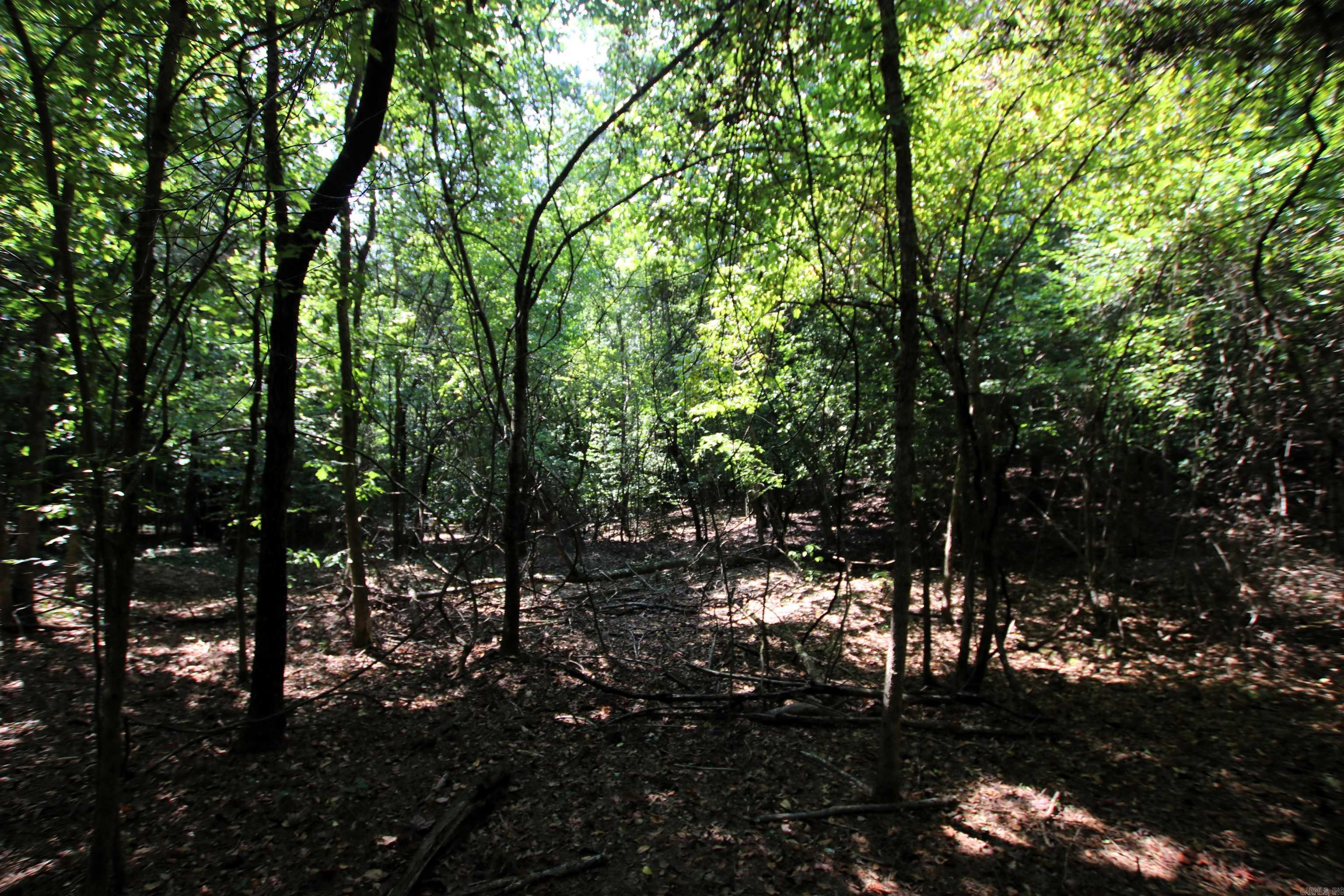 000 Sorrell  Benton, AR