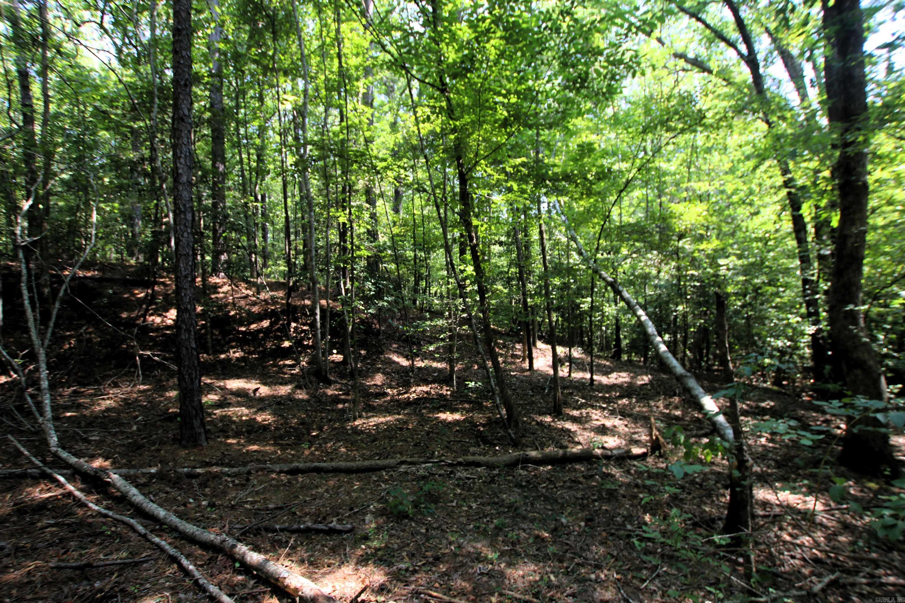 000 Sorrell  Benton, AR