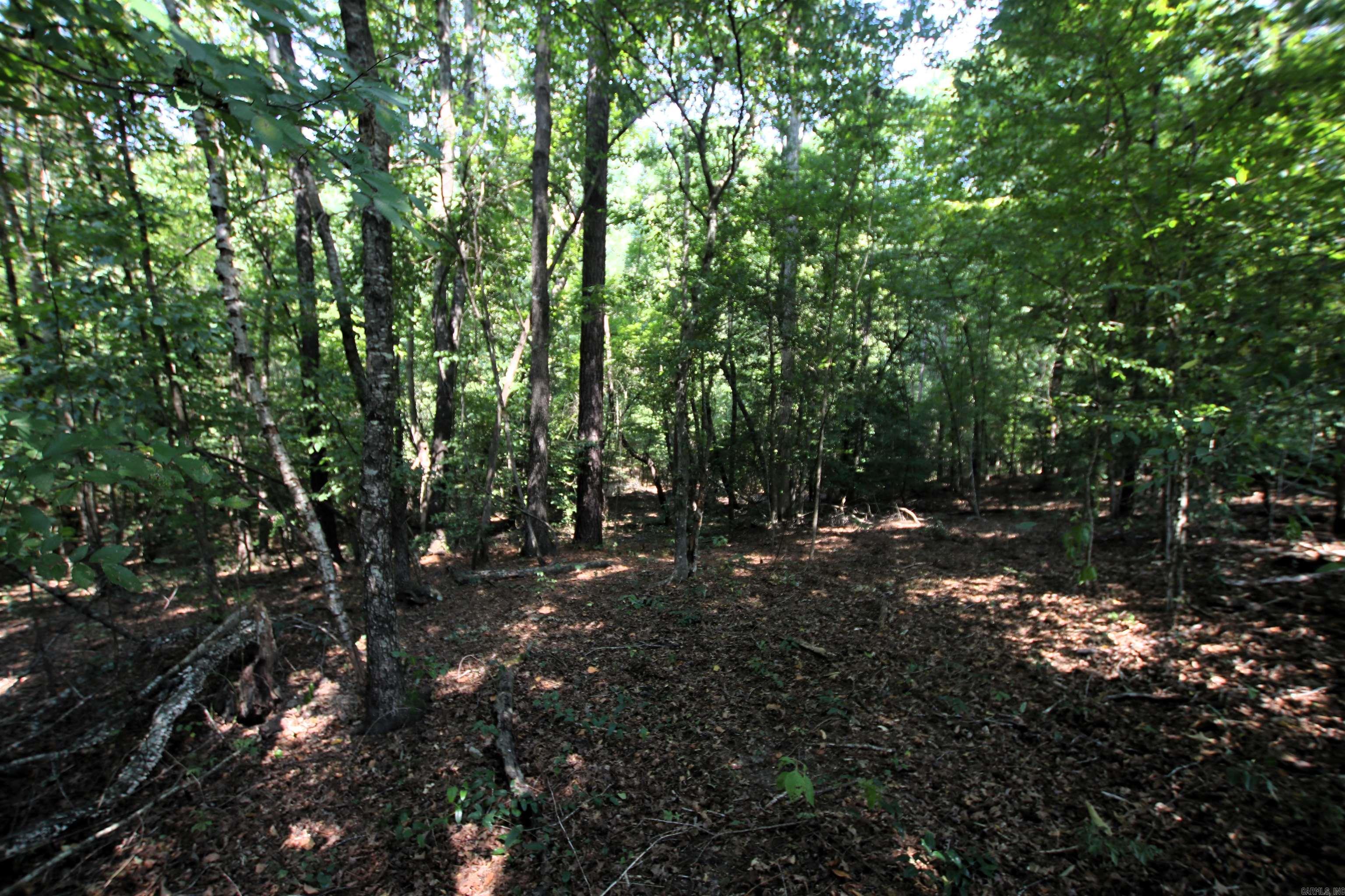 000 Sorrell  Benton, AR