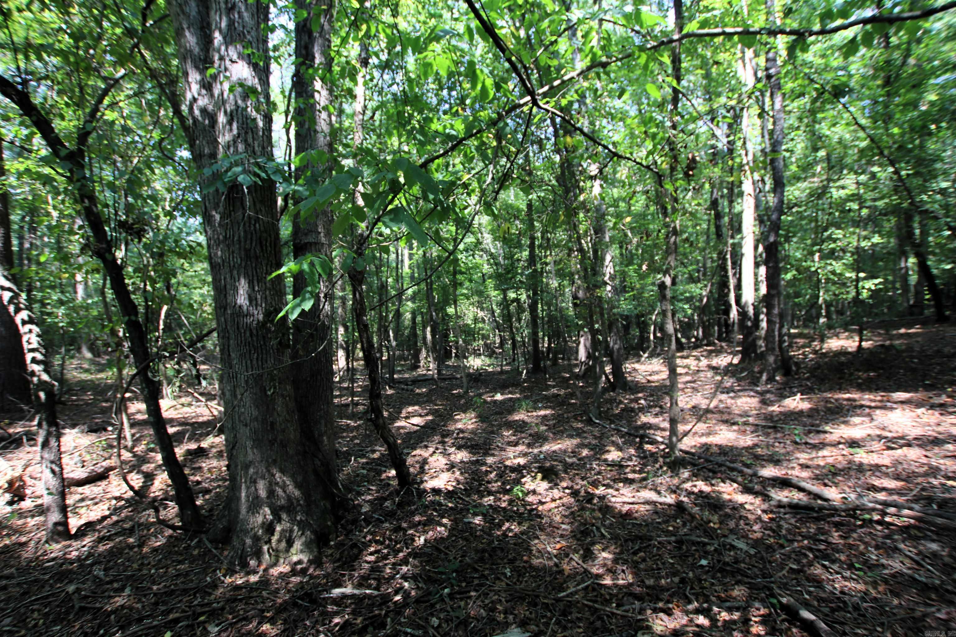 000 Sorrell  Benton, AR
