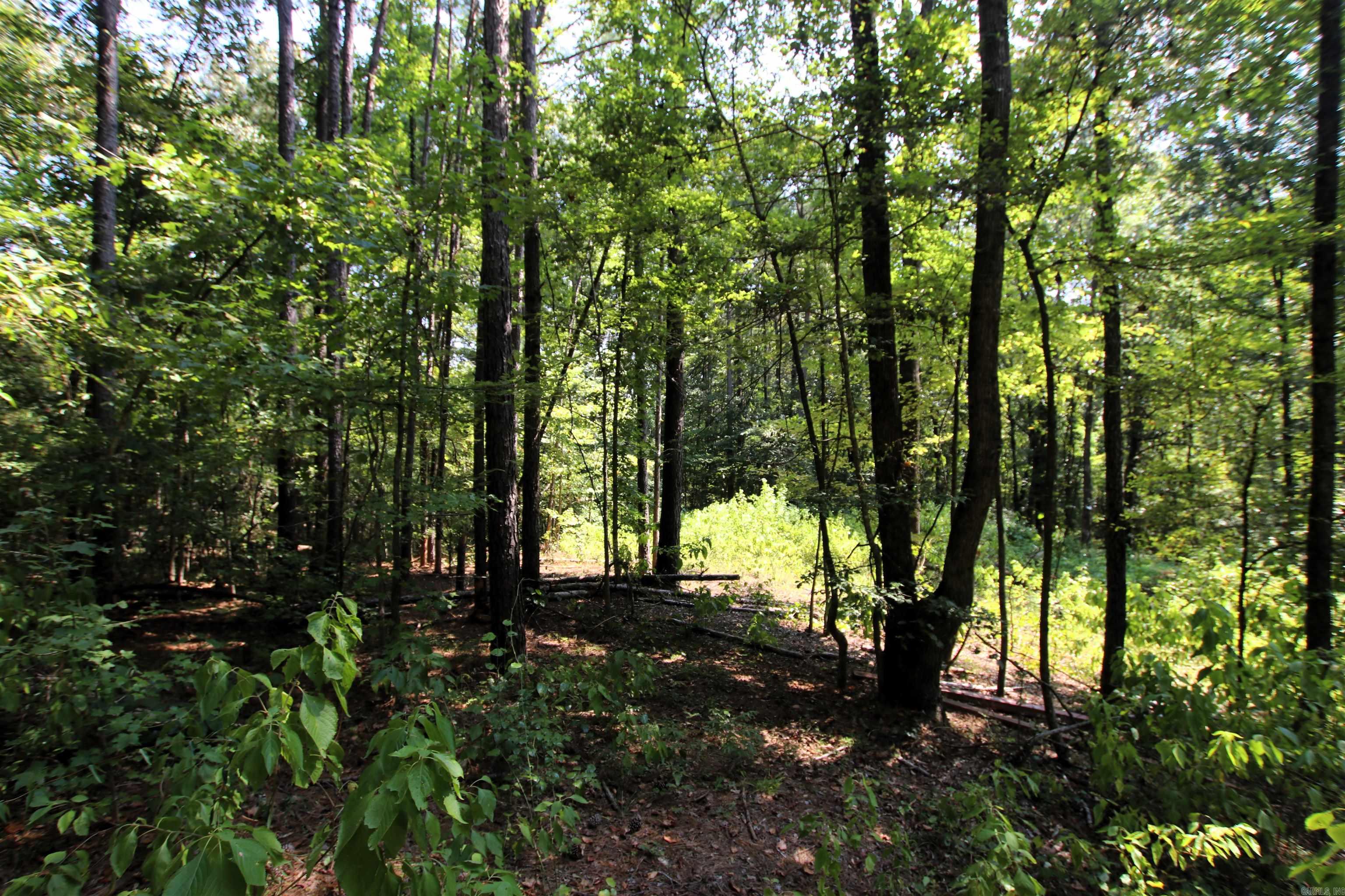 000 Sorrell  Benton, AR