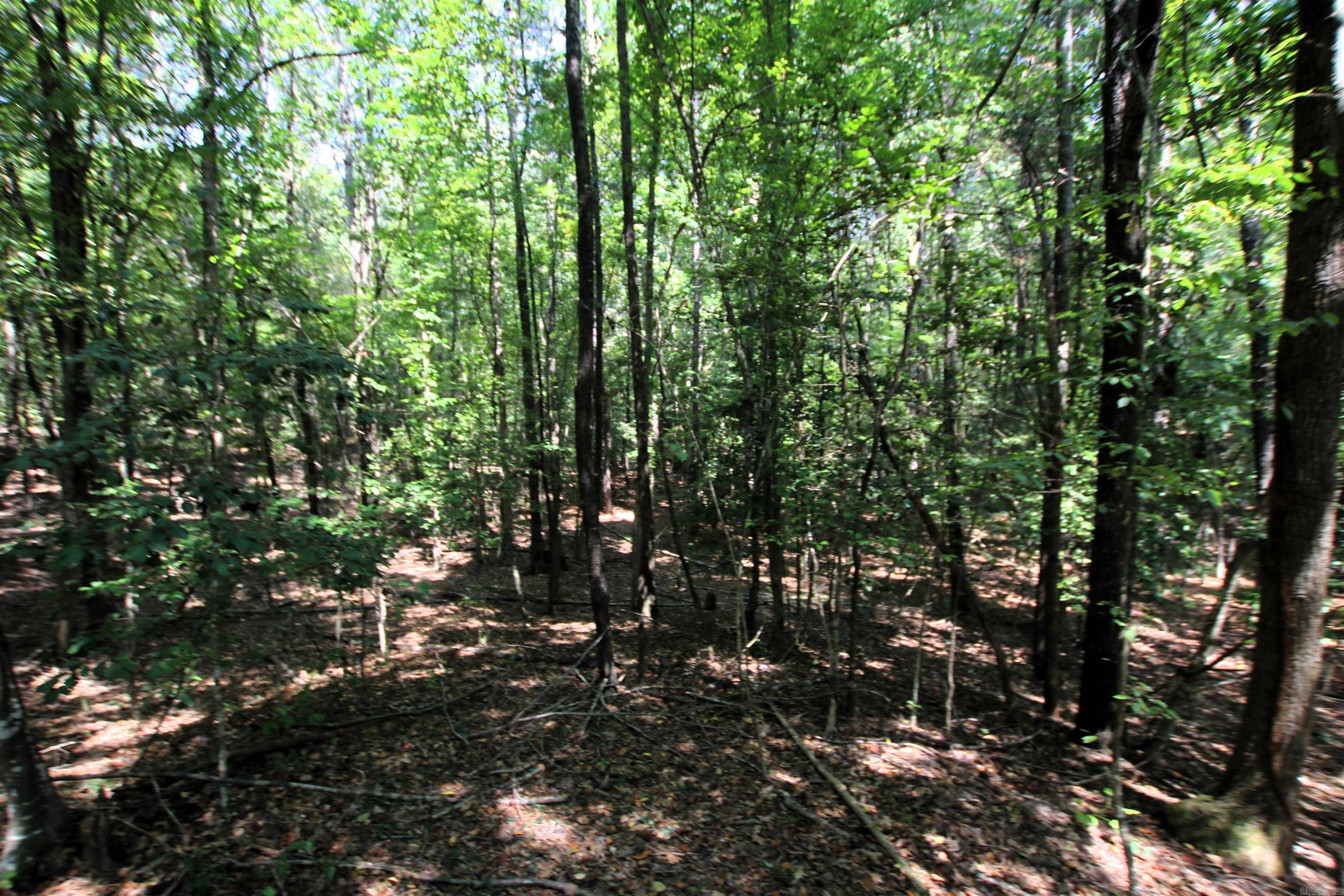 000 Sorrell  Benton, AR