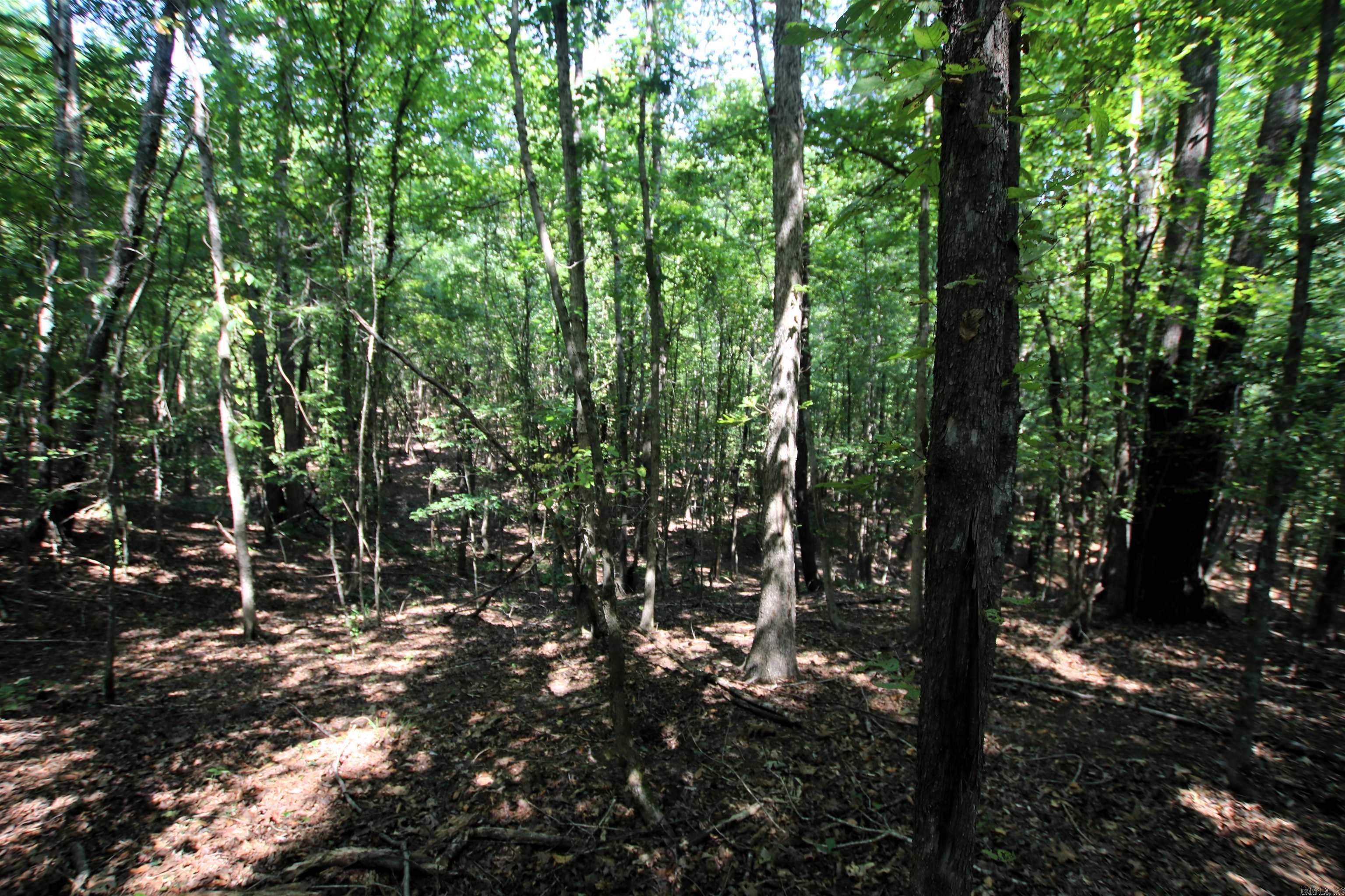 000 Sorrell  Benton, AR