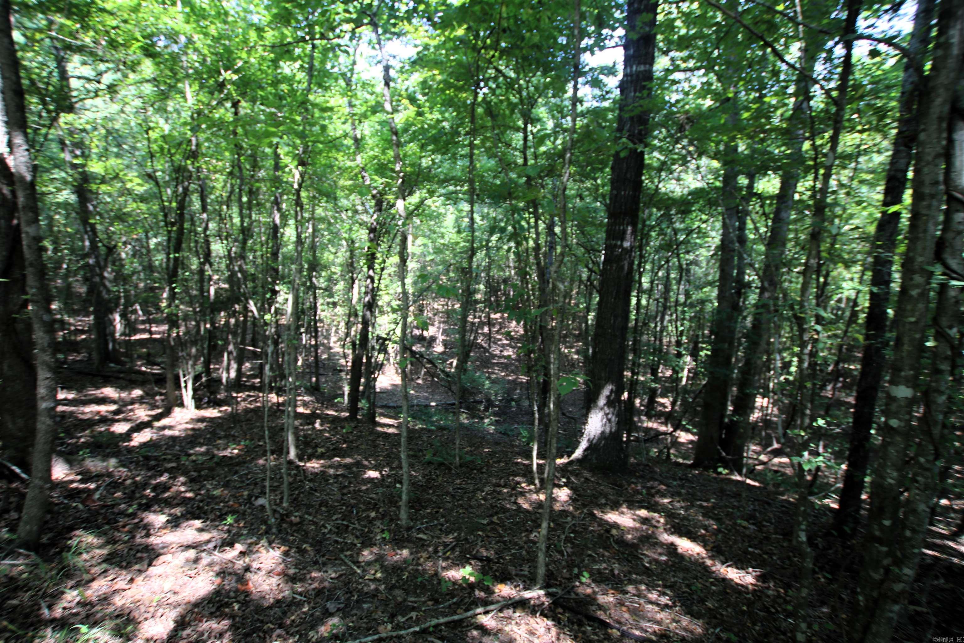 000 Sorrell  Benton, AR