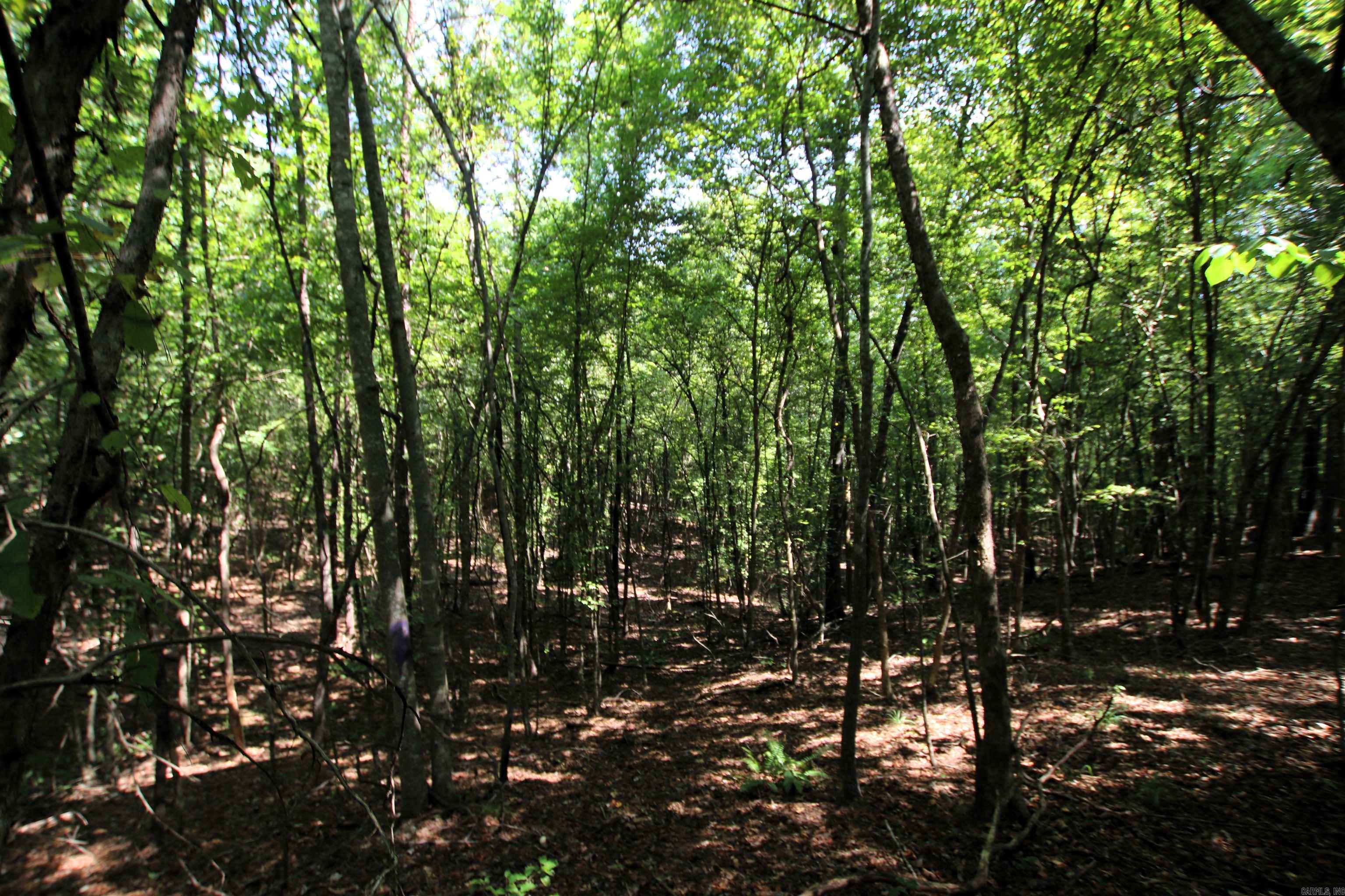 000 Sorrell  Benton, AR