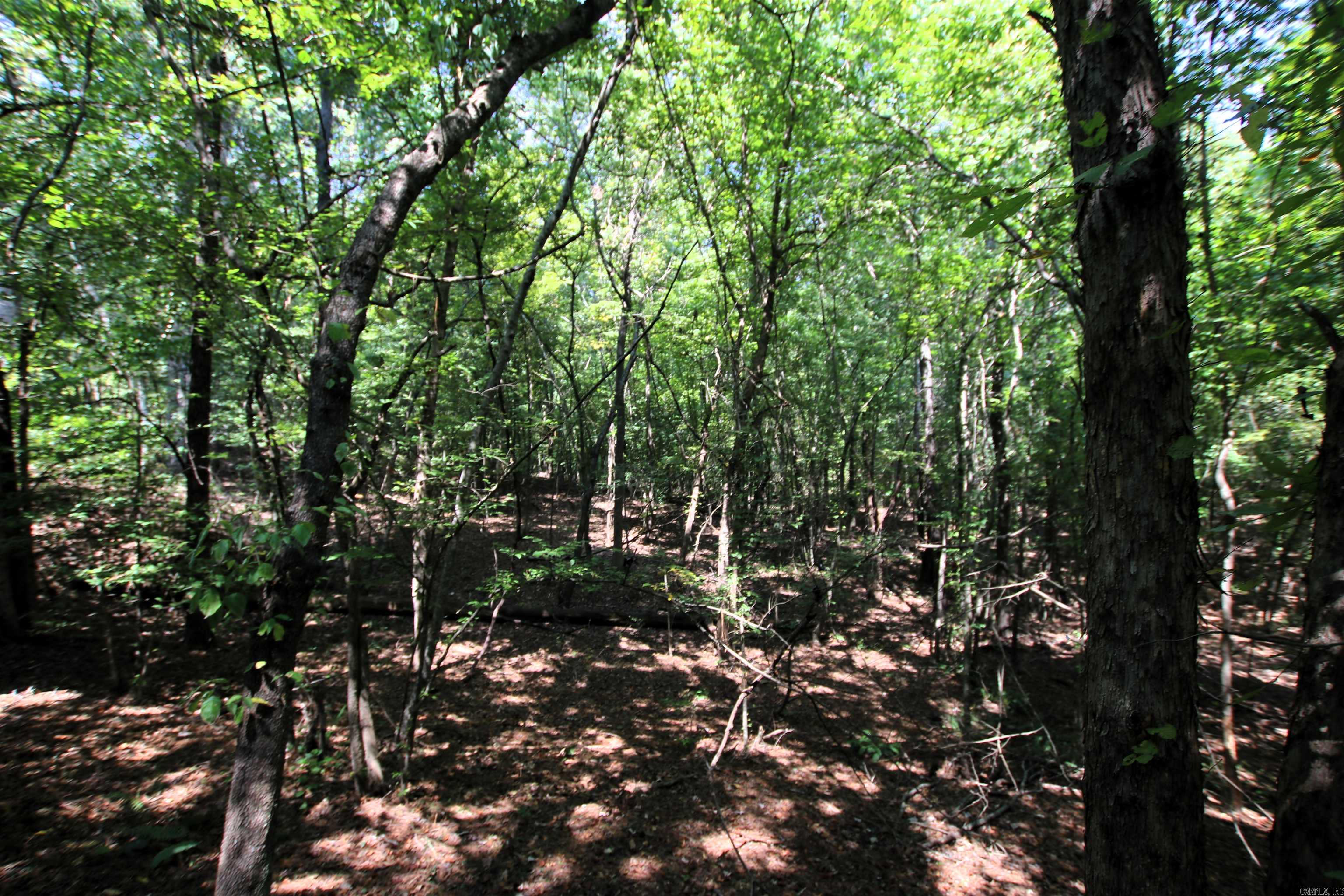 000 Sorrell  Benton, AR