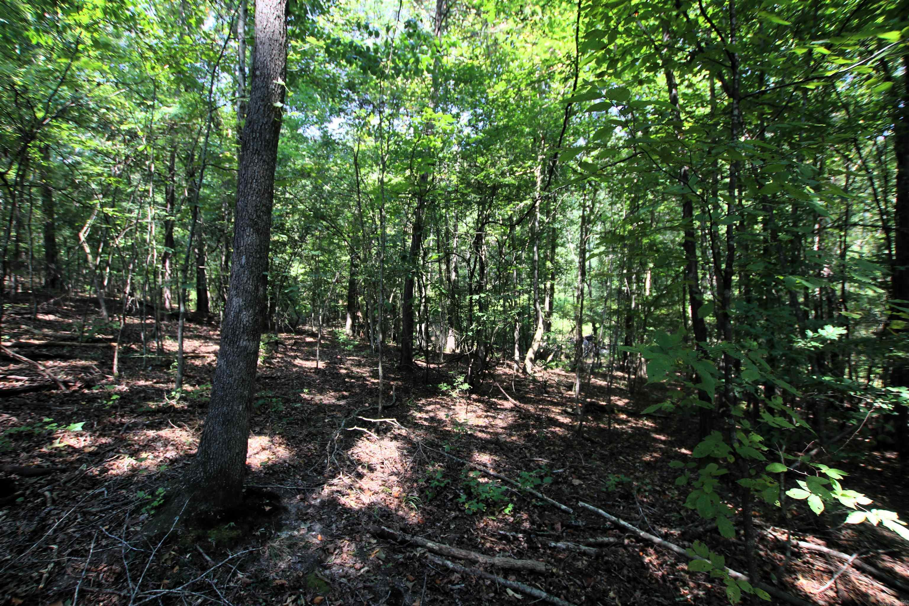000 Sorrell  Benton, AR