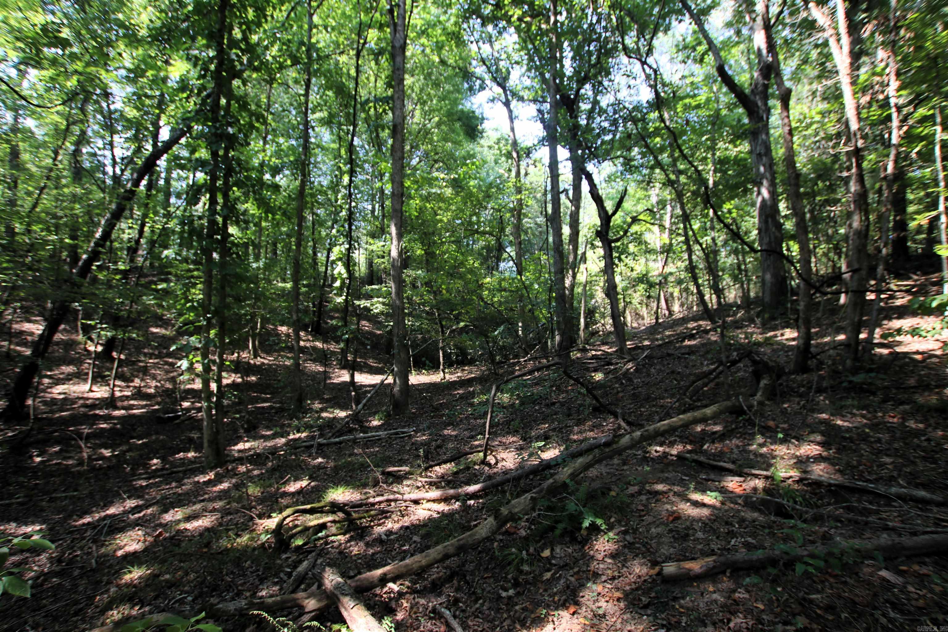 000 Sorrell  Benton, AR