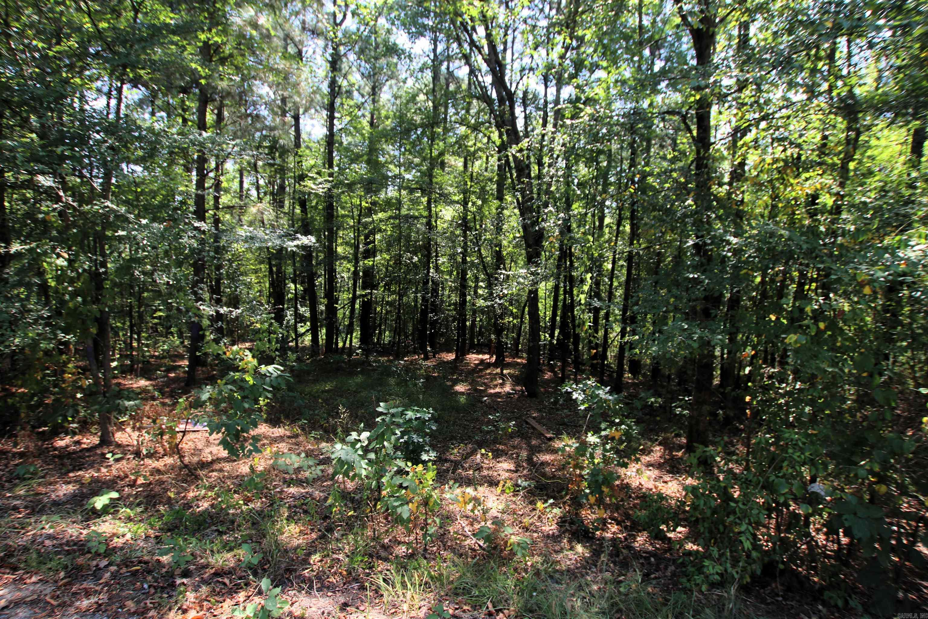 000 Sorrell  Benton, AR