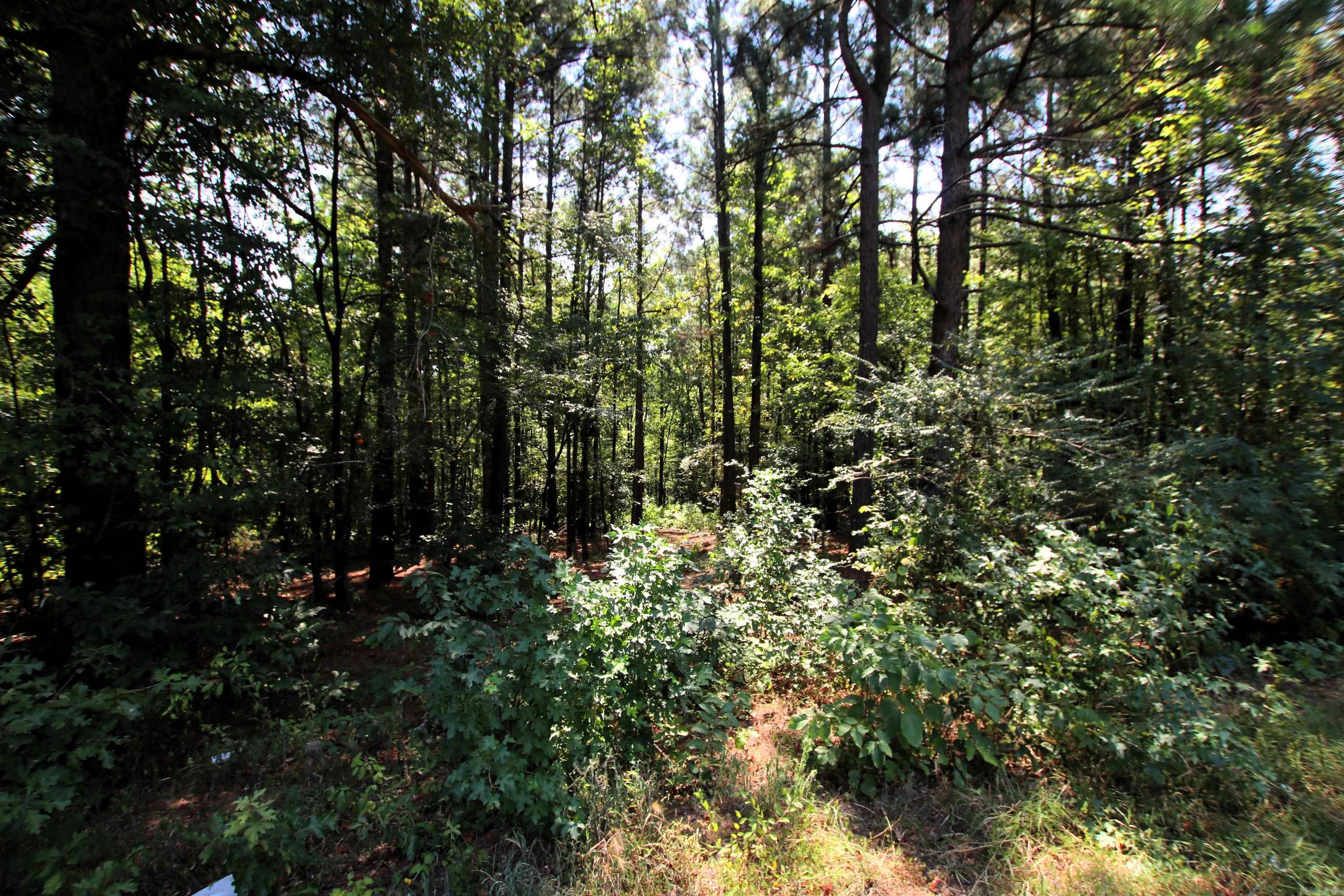 000 Sorrell  Benton, AR