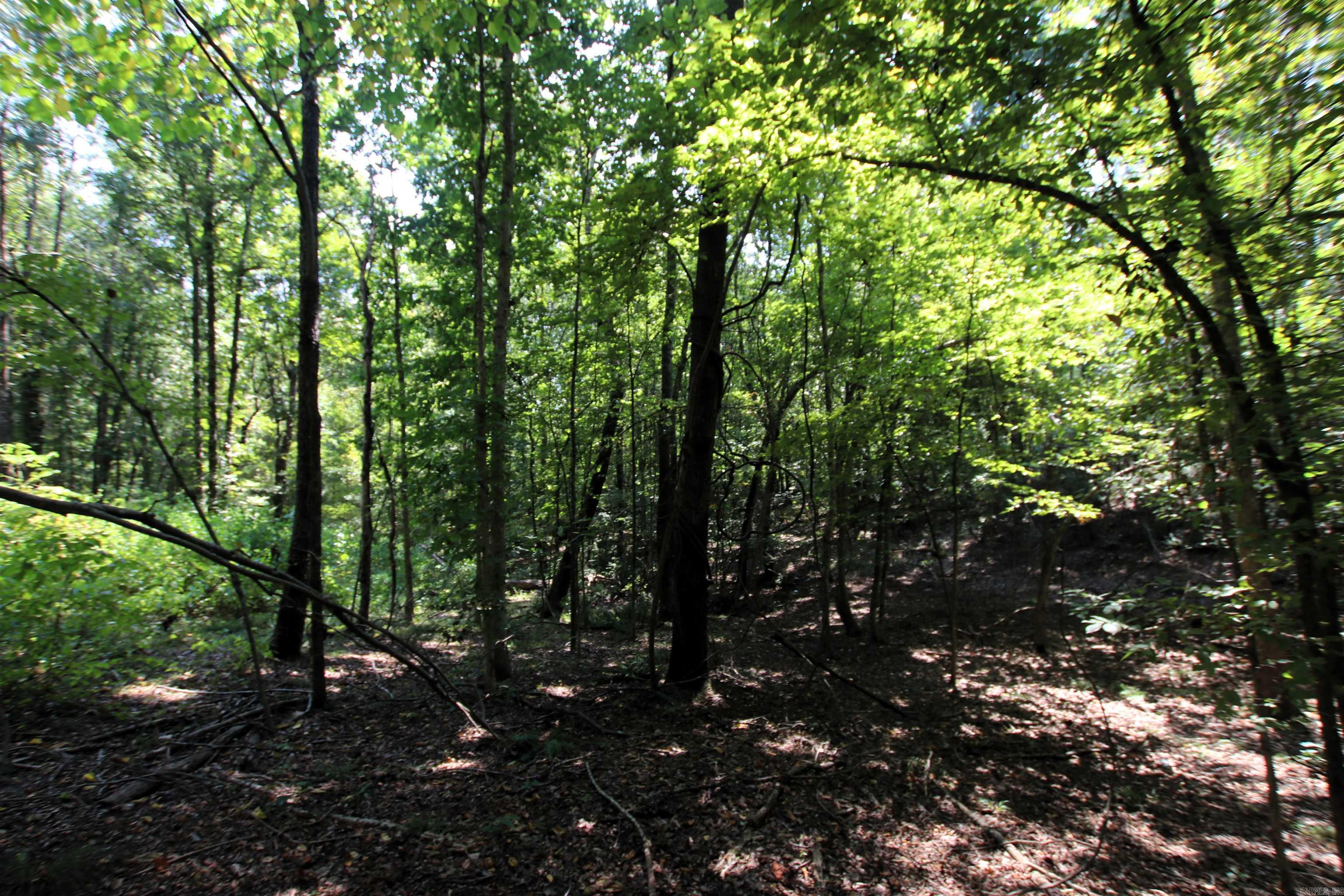 000 Sorrell  Benton, AR