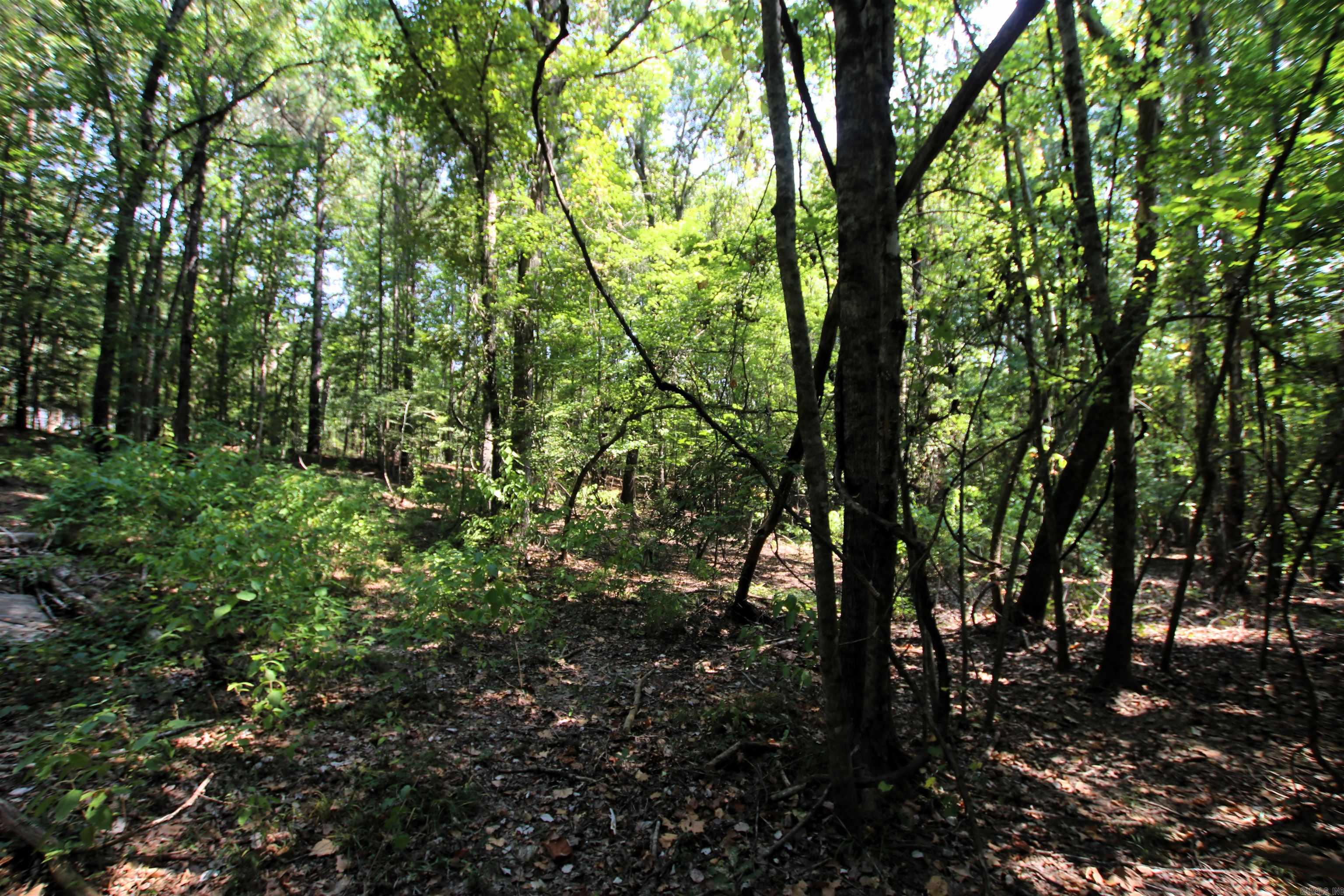 000 Sorrell  Benton, AR