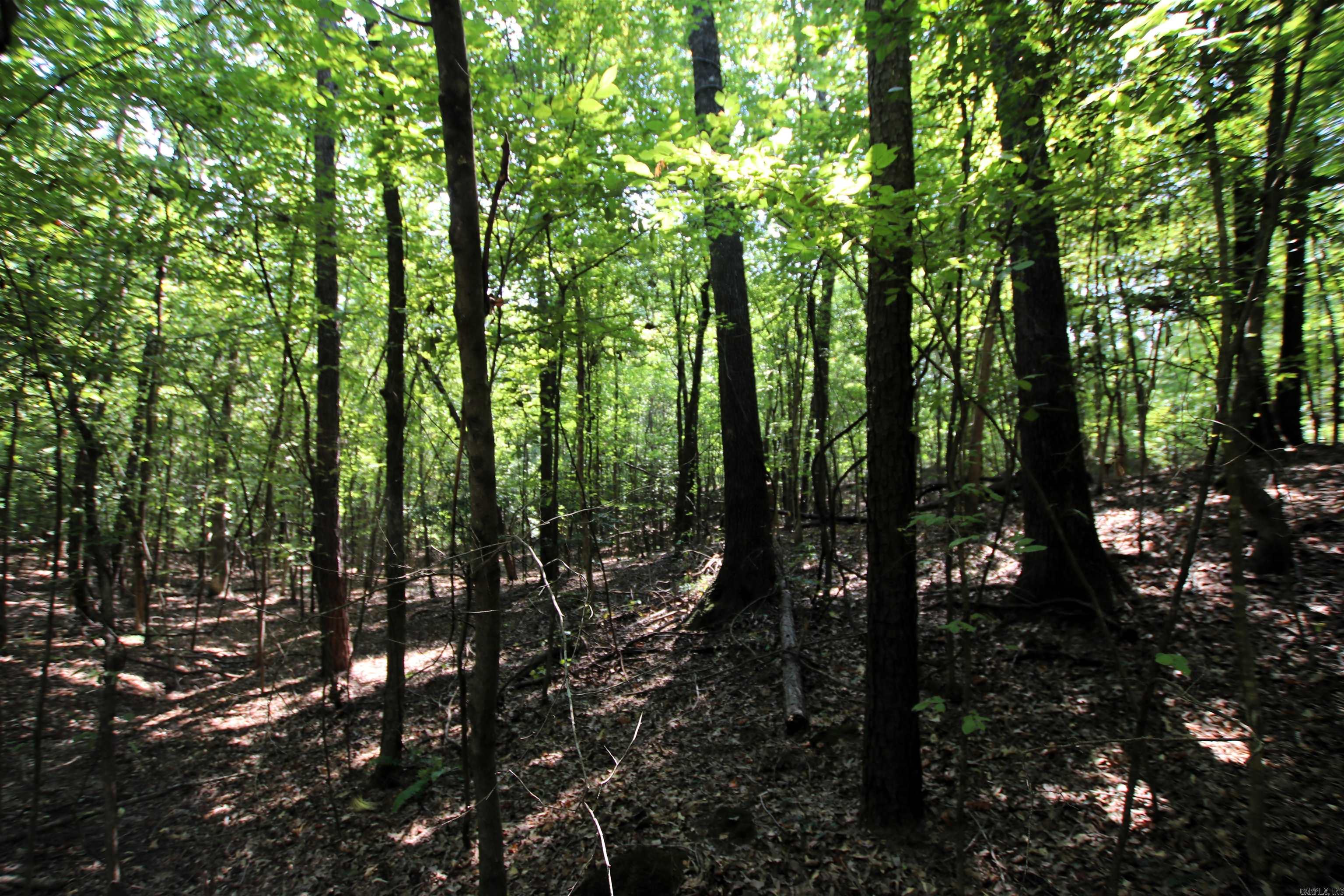 000 Sorrell  Benton, AR