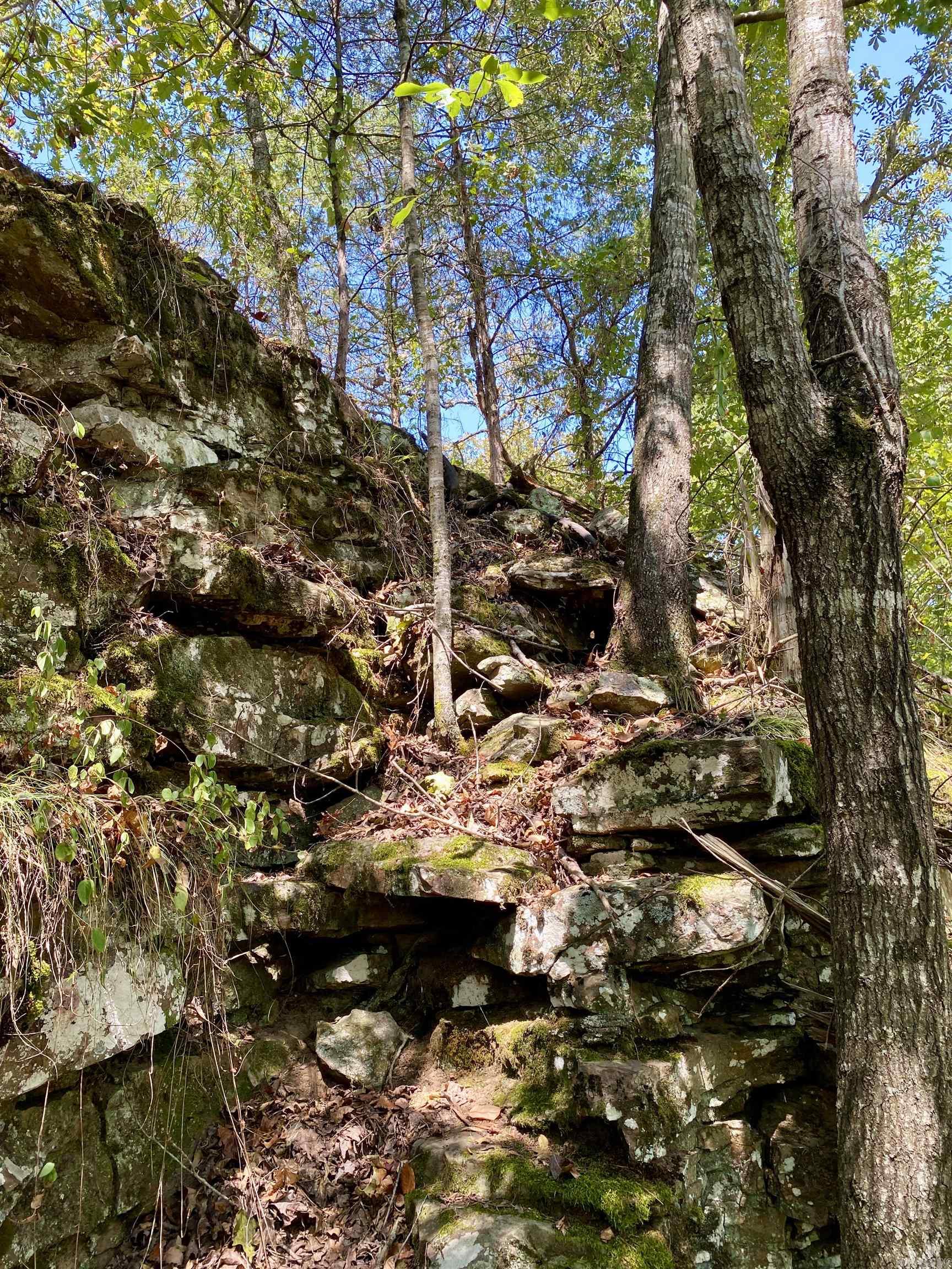 Lot 10 PR 3629  Lamar, AR