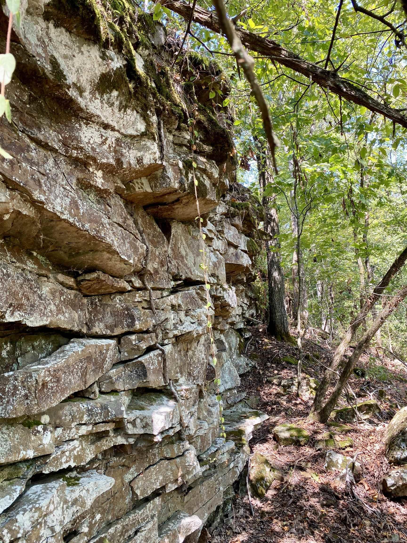 Lot 10 PR 3629  Lamar, AR