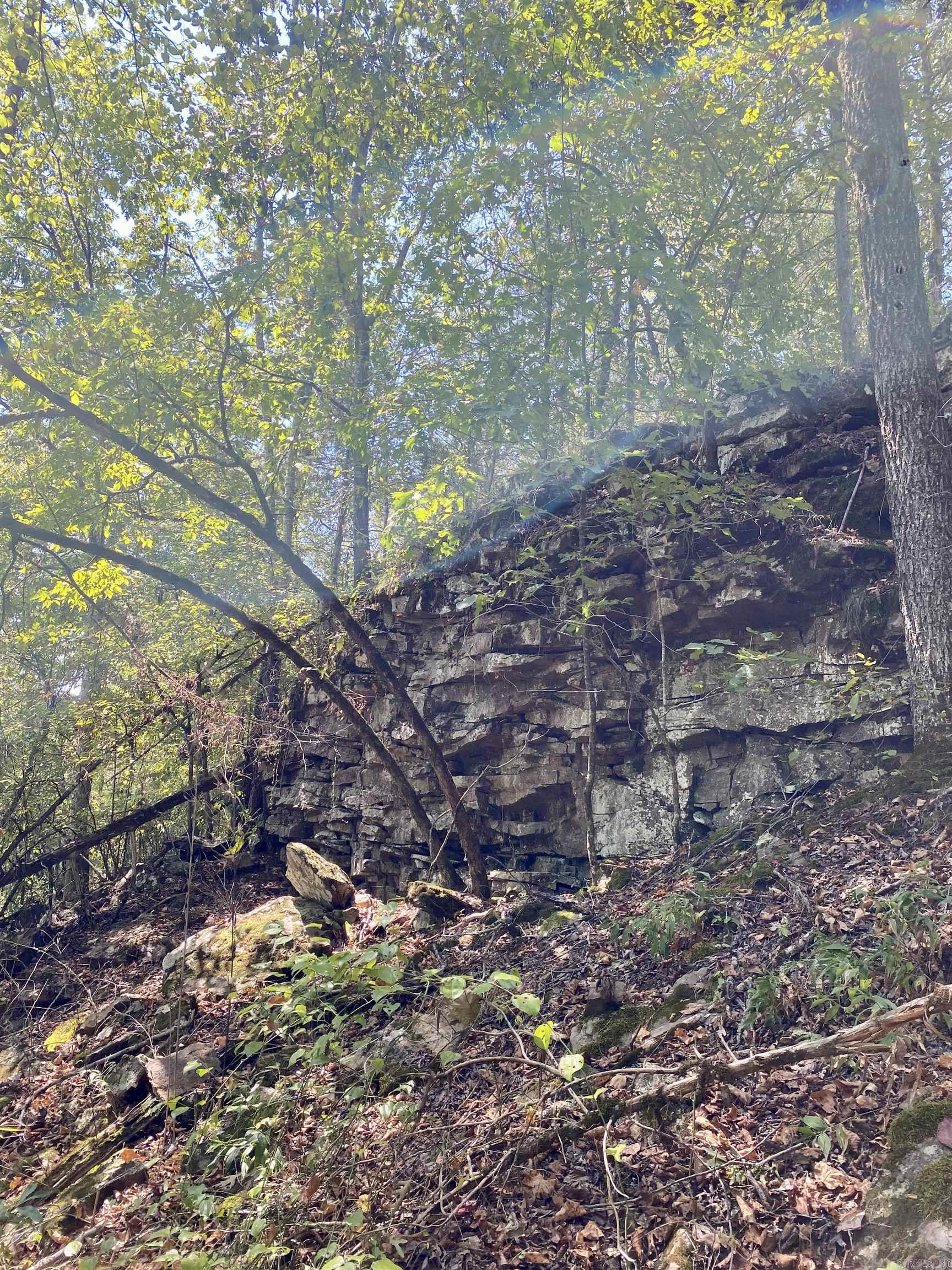 Lot 10 PR 3629  Lamar, AR