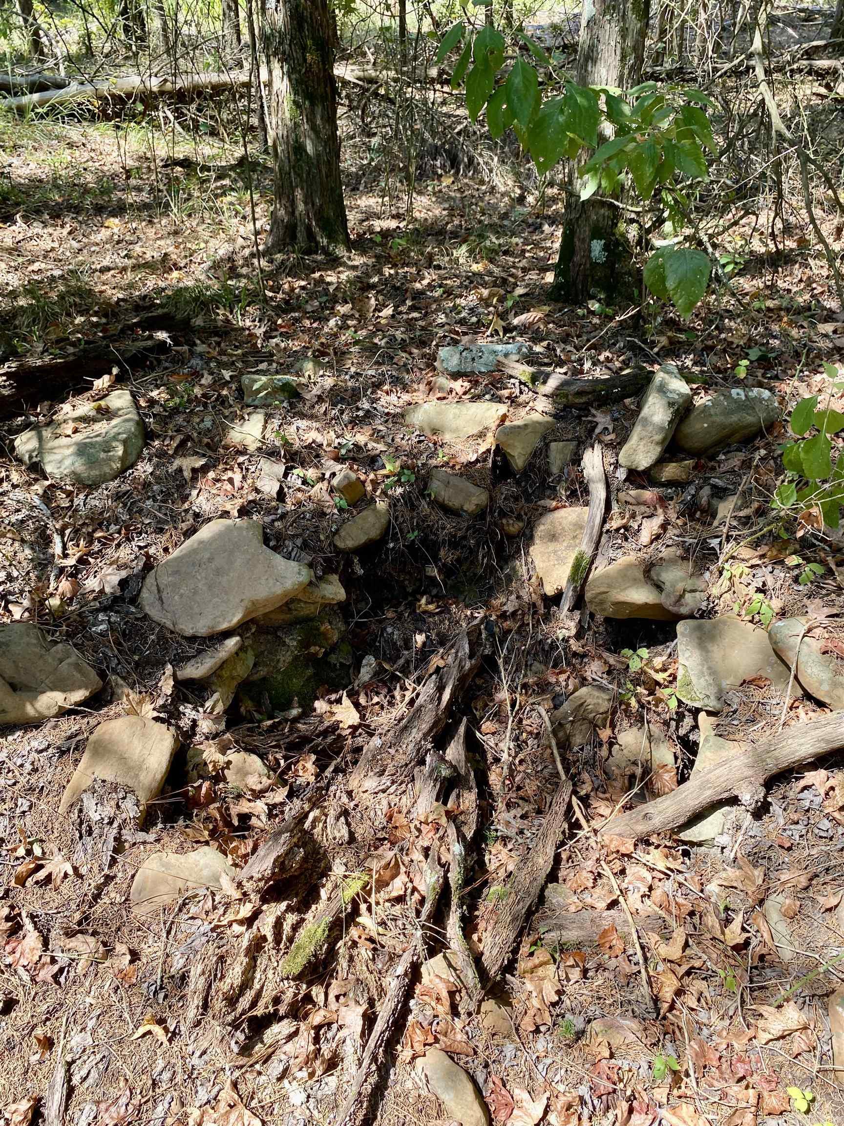 Lot 10 PR 3629  Lamar, AR
