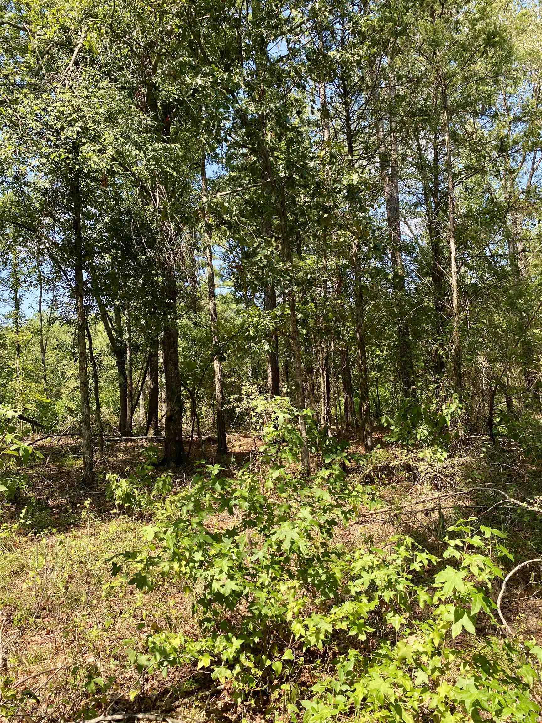 Lot 10 PR 3629  Lamar, AR