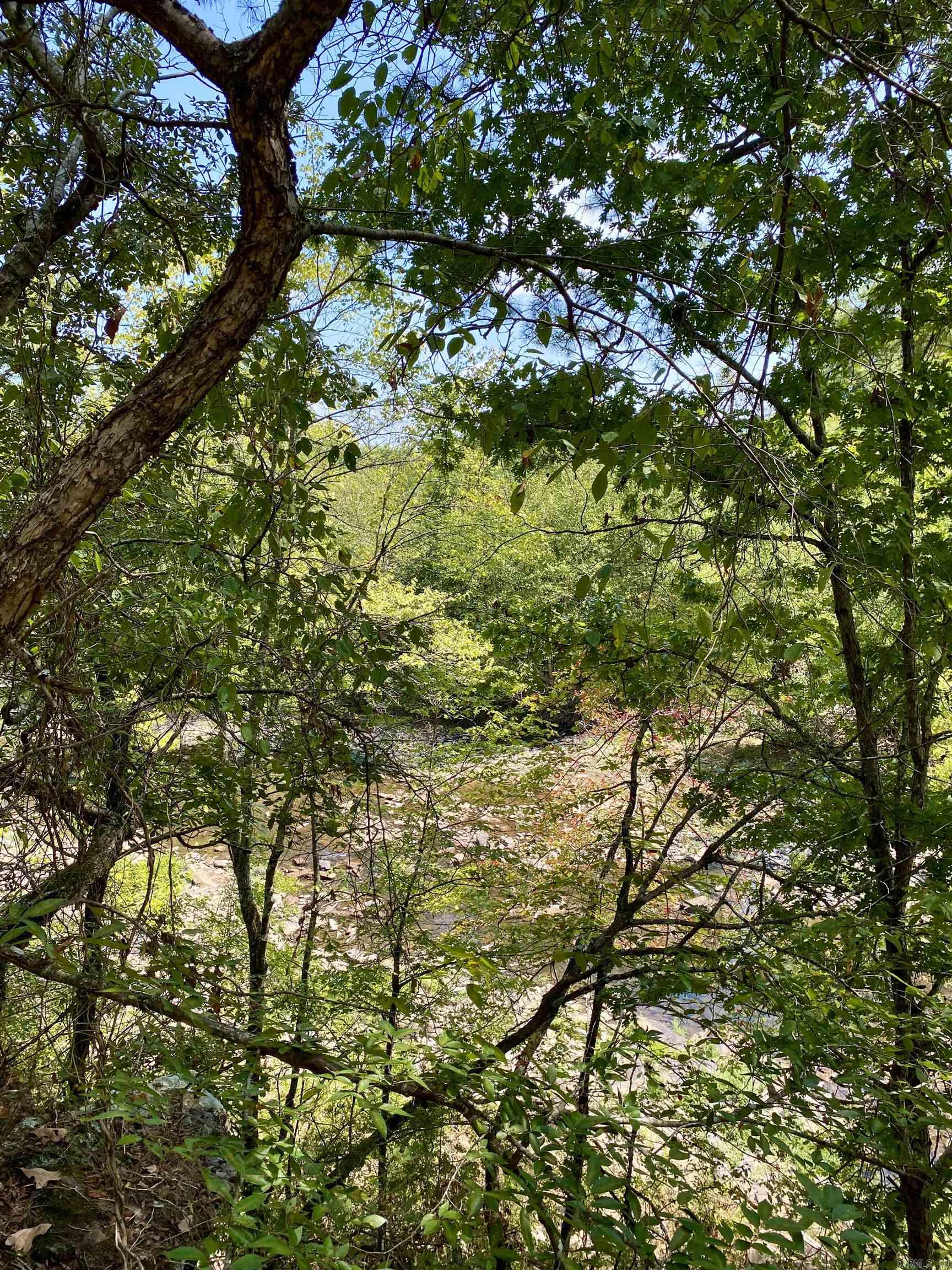 Lot 10 PR 3629  Lamar, AR