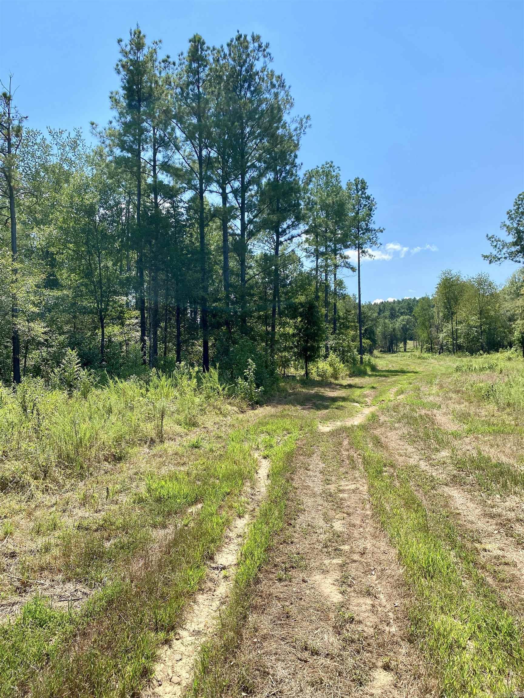 Lot 10 PR 3629  Lamar, AR