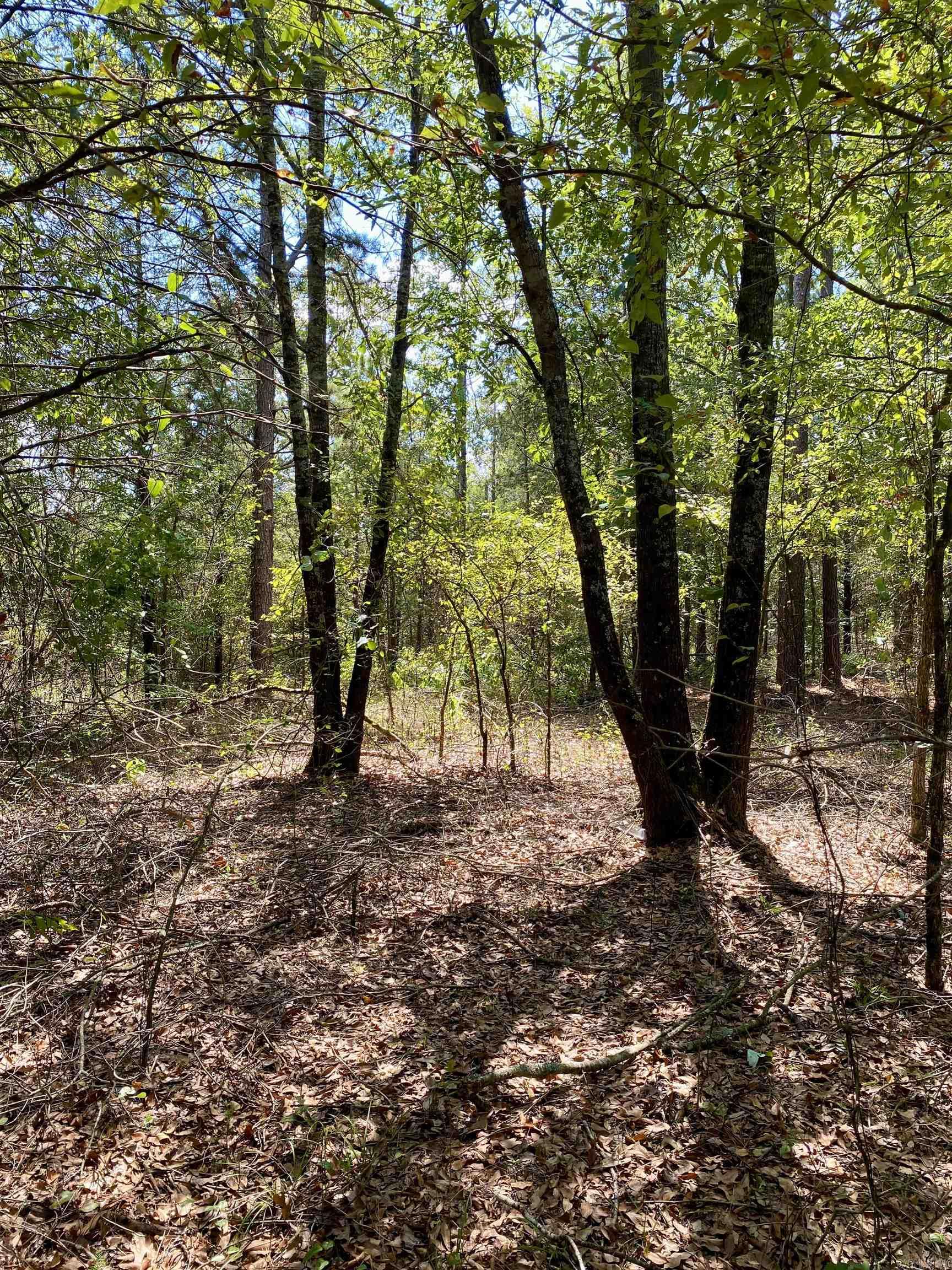 Lot 10 PR 3629  Lamar, AR