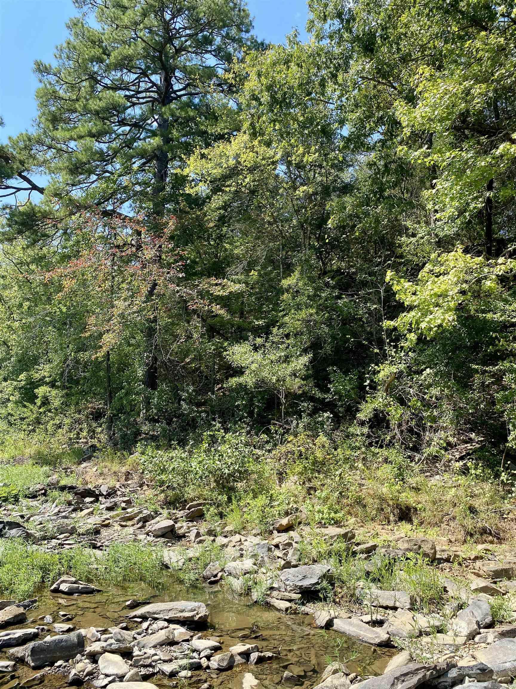 Lot 10 PR 3629  Lamar, AR