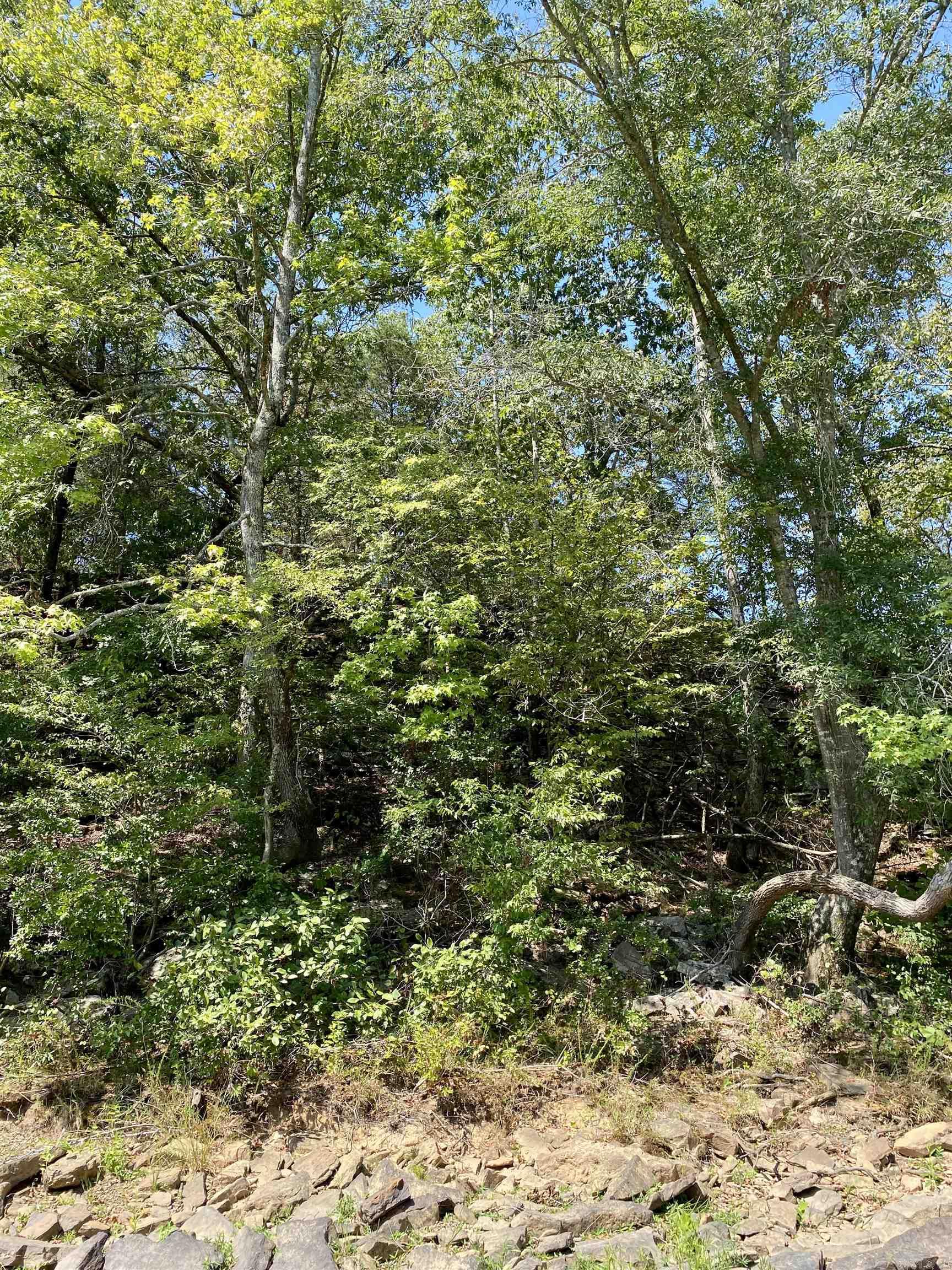 Lot 10 PR 3629  Lamar, AR