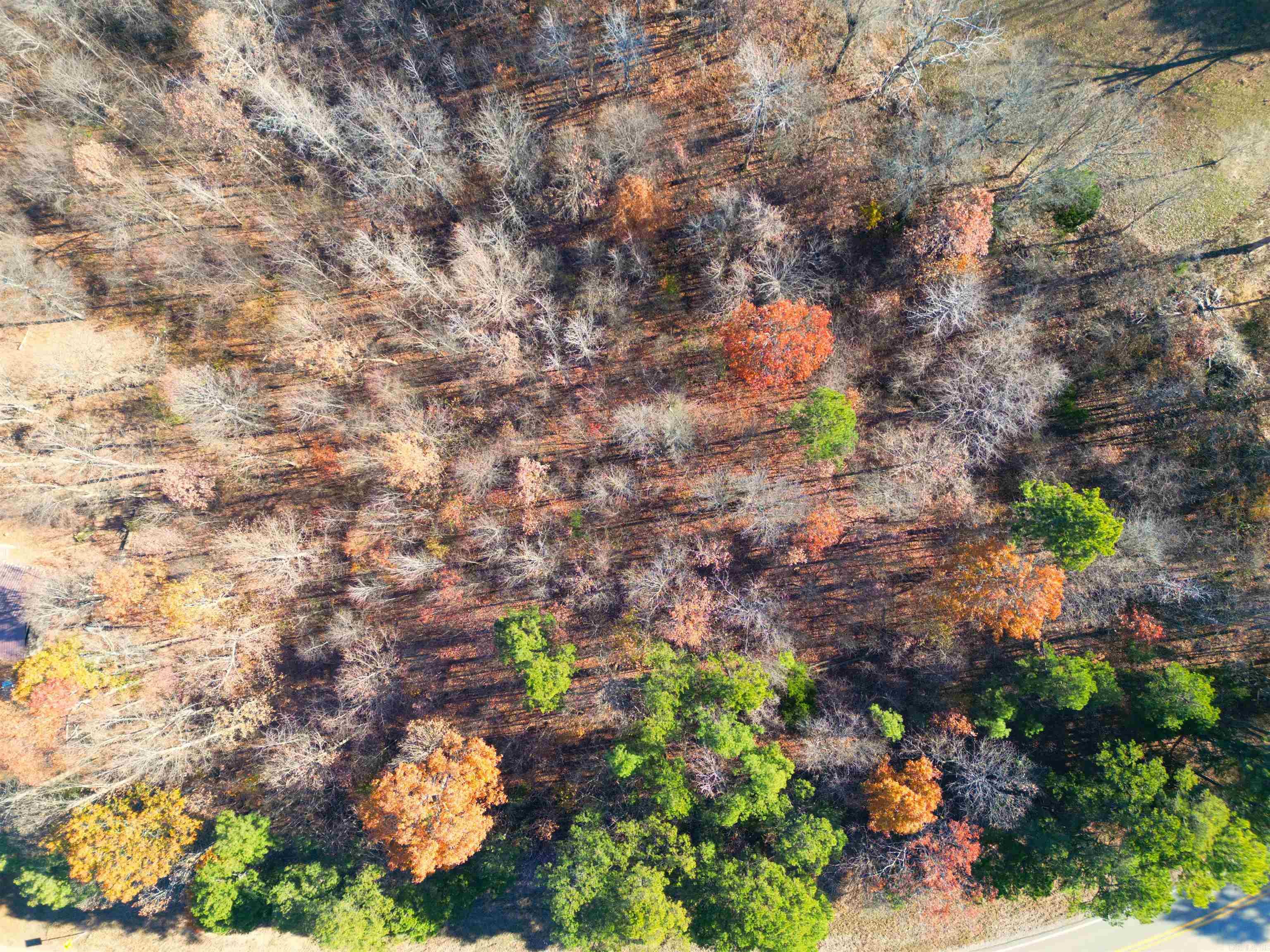 1 Acre Hwy 34 W  Paragould, AR