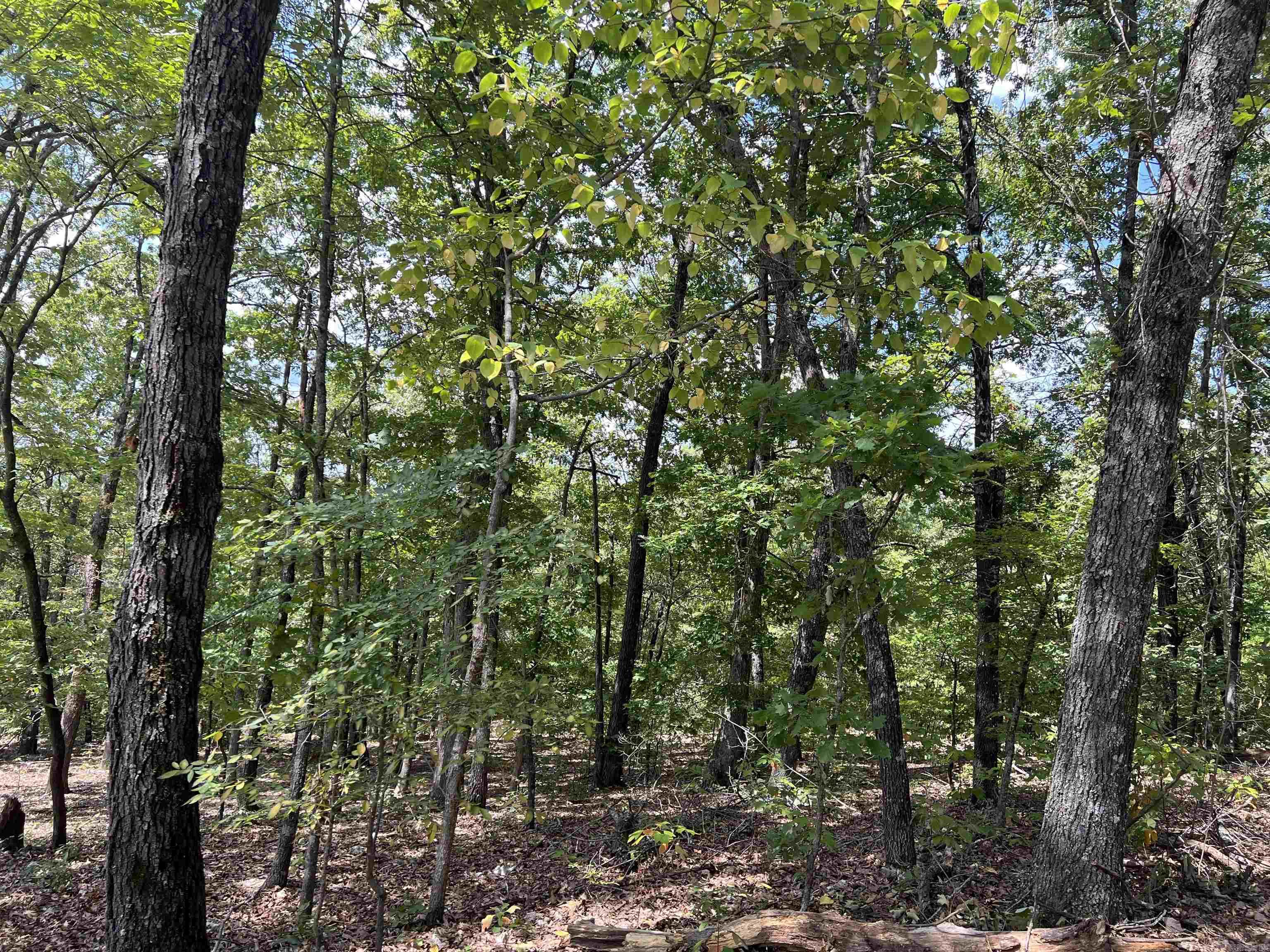  NC 4055  Western Grove, AR